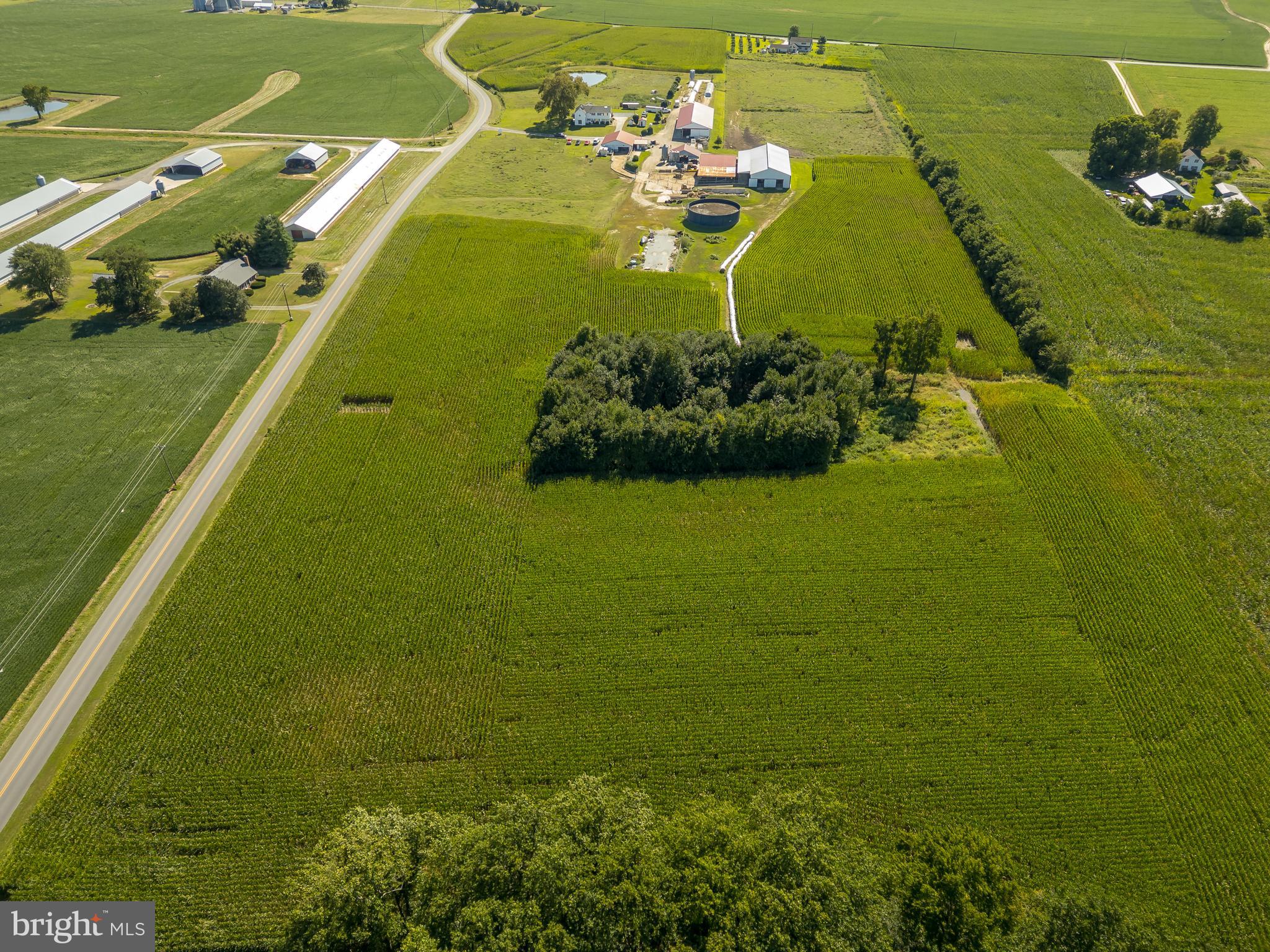 NONE AVAILABLE - Farm