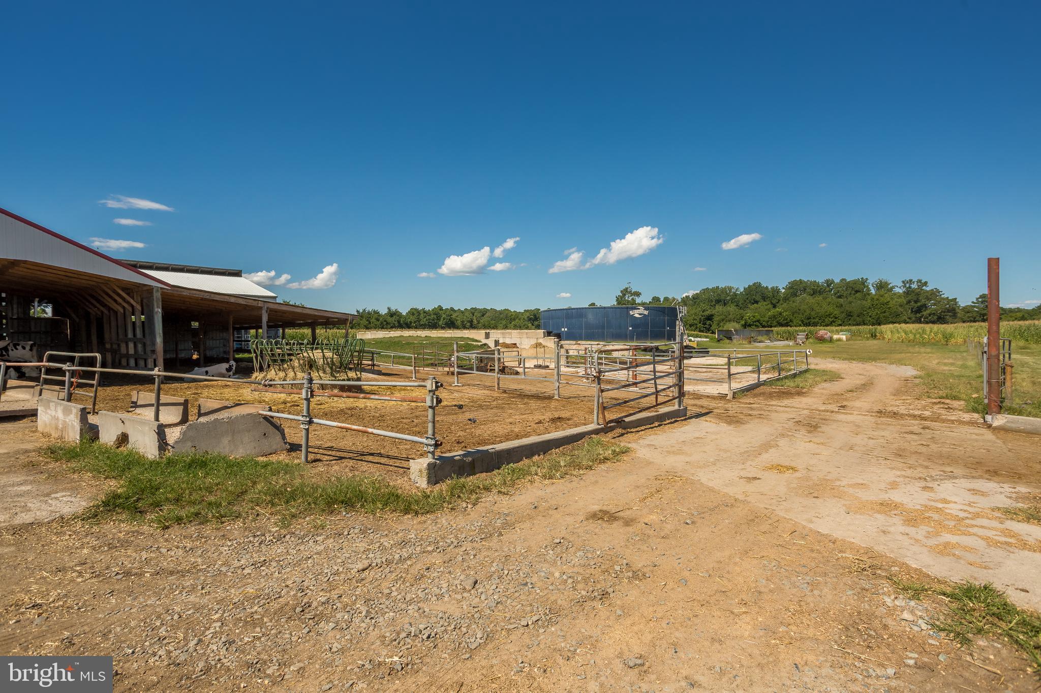 NONE AVAILABLE - Farm