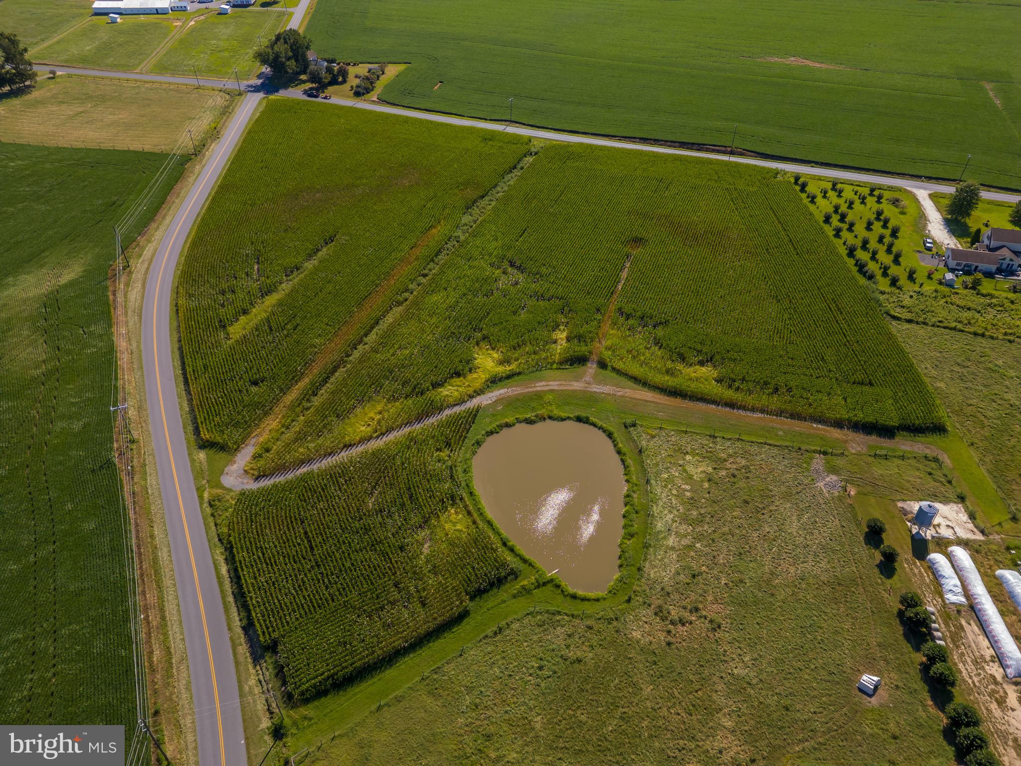 NONE AVAILABLE - Farm