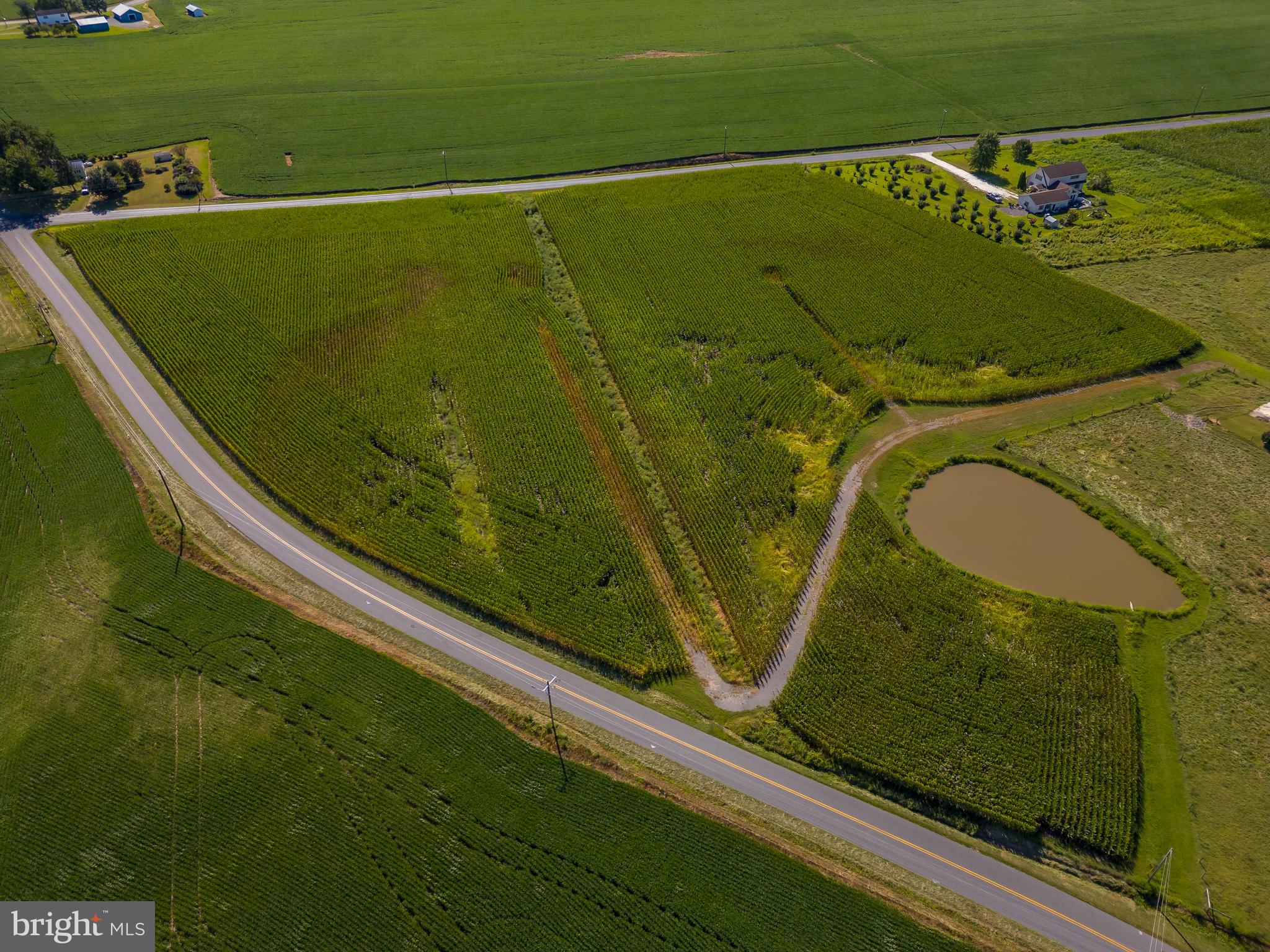 NONE AVAILABLE - Farm