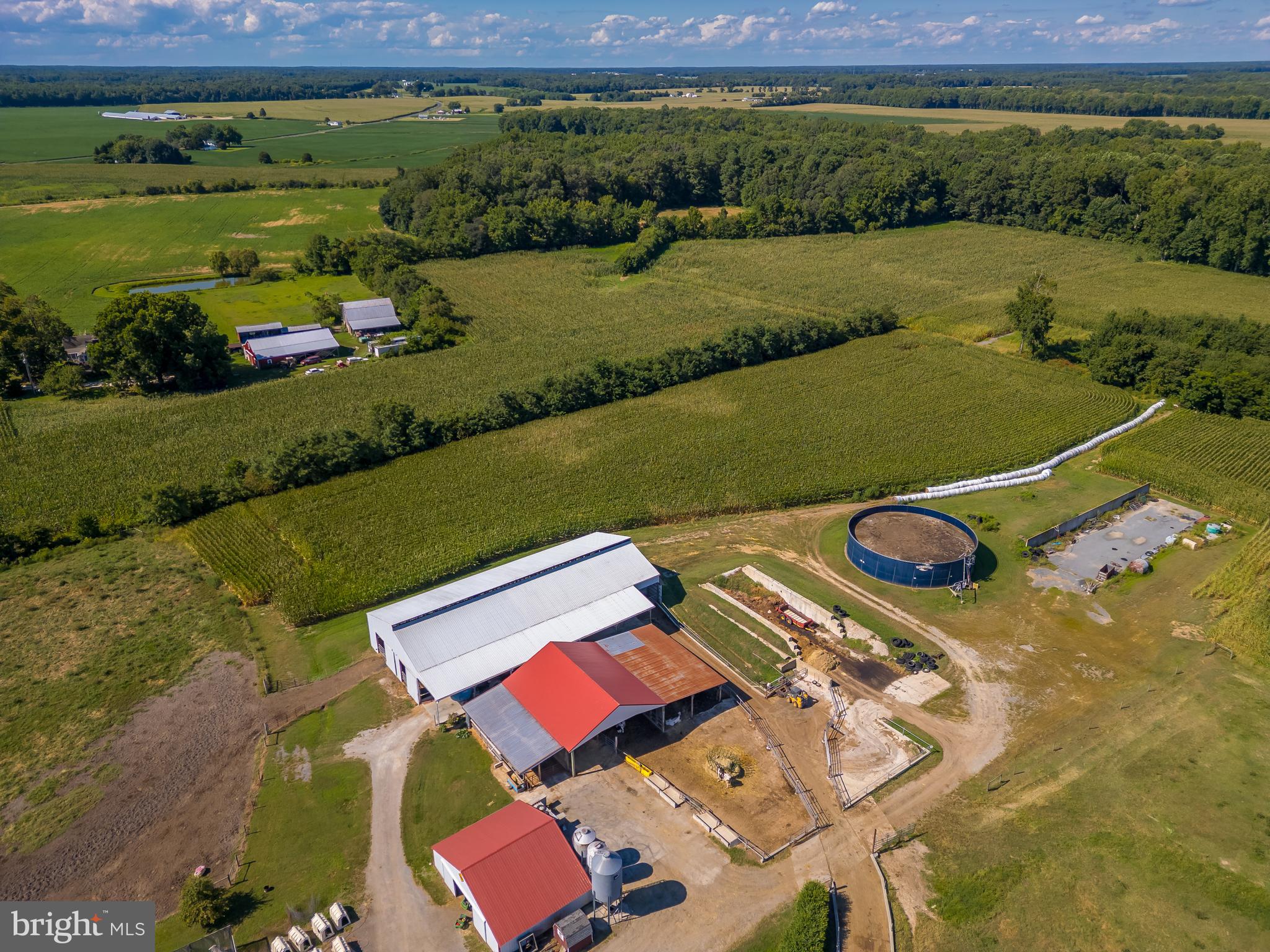 NONE AVAILABLE - Farm