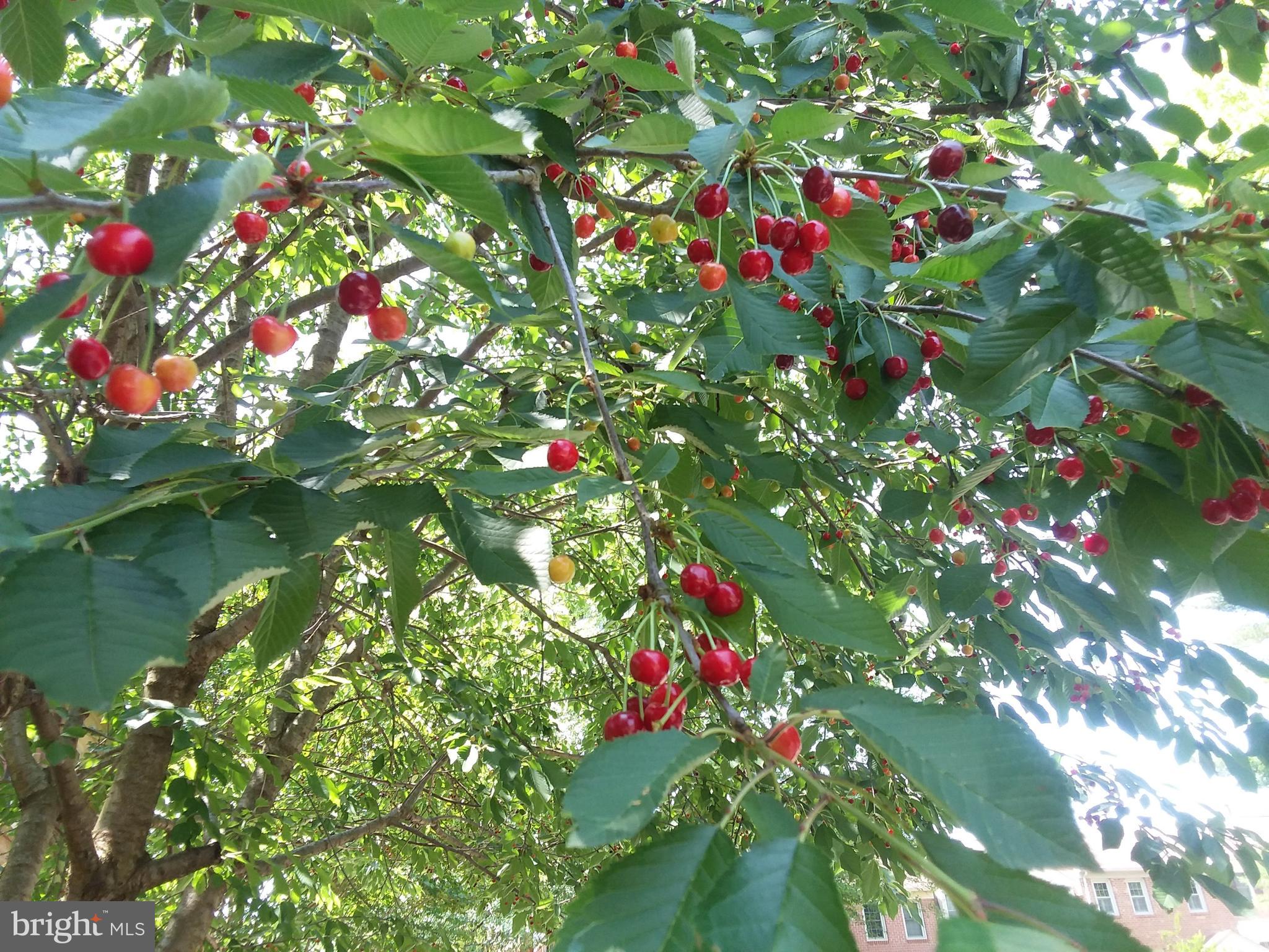 KINGS PARK WEST - Residential