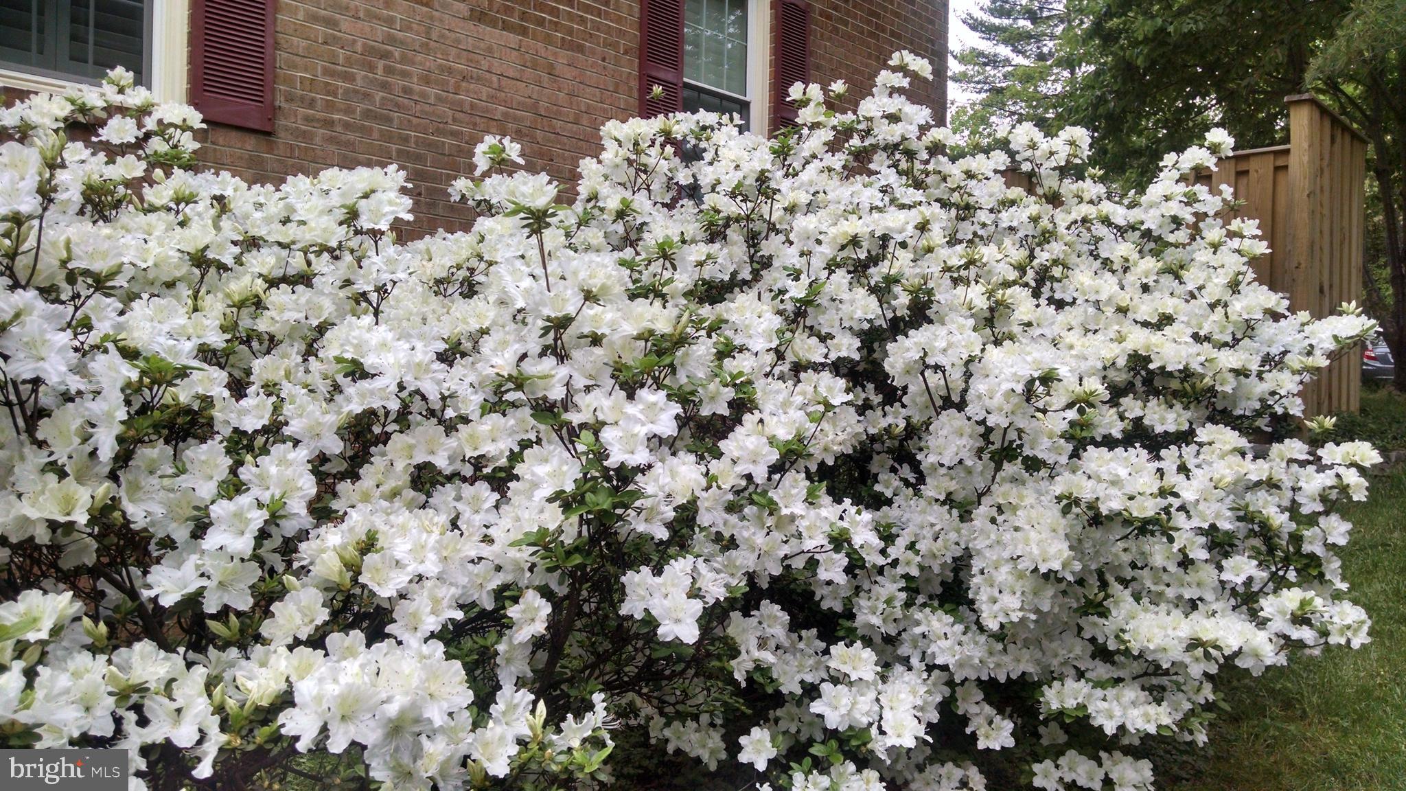 KINGS PARK WEST - Residential