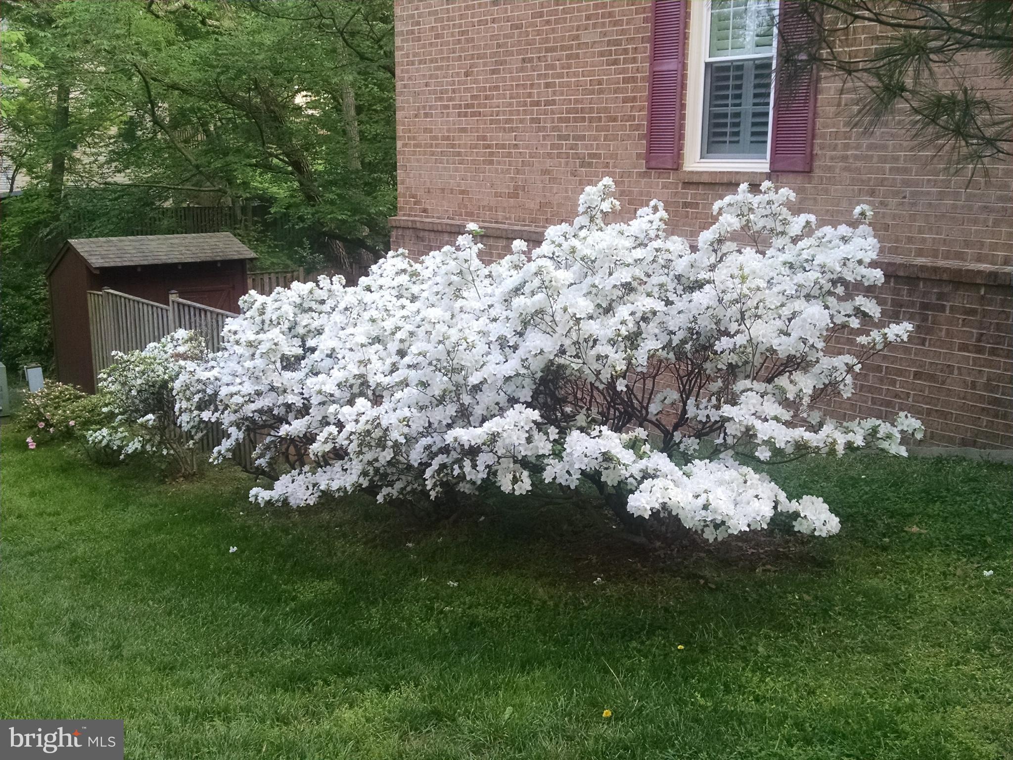 KINGS PARK WEST - Residential