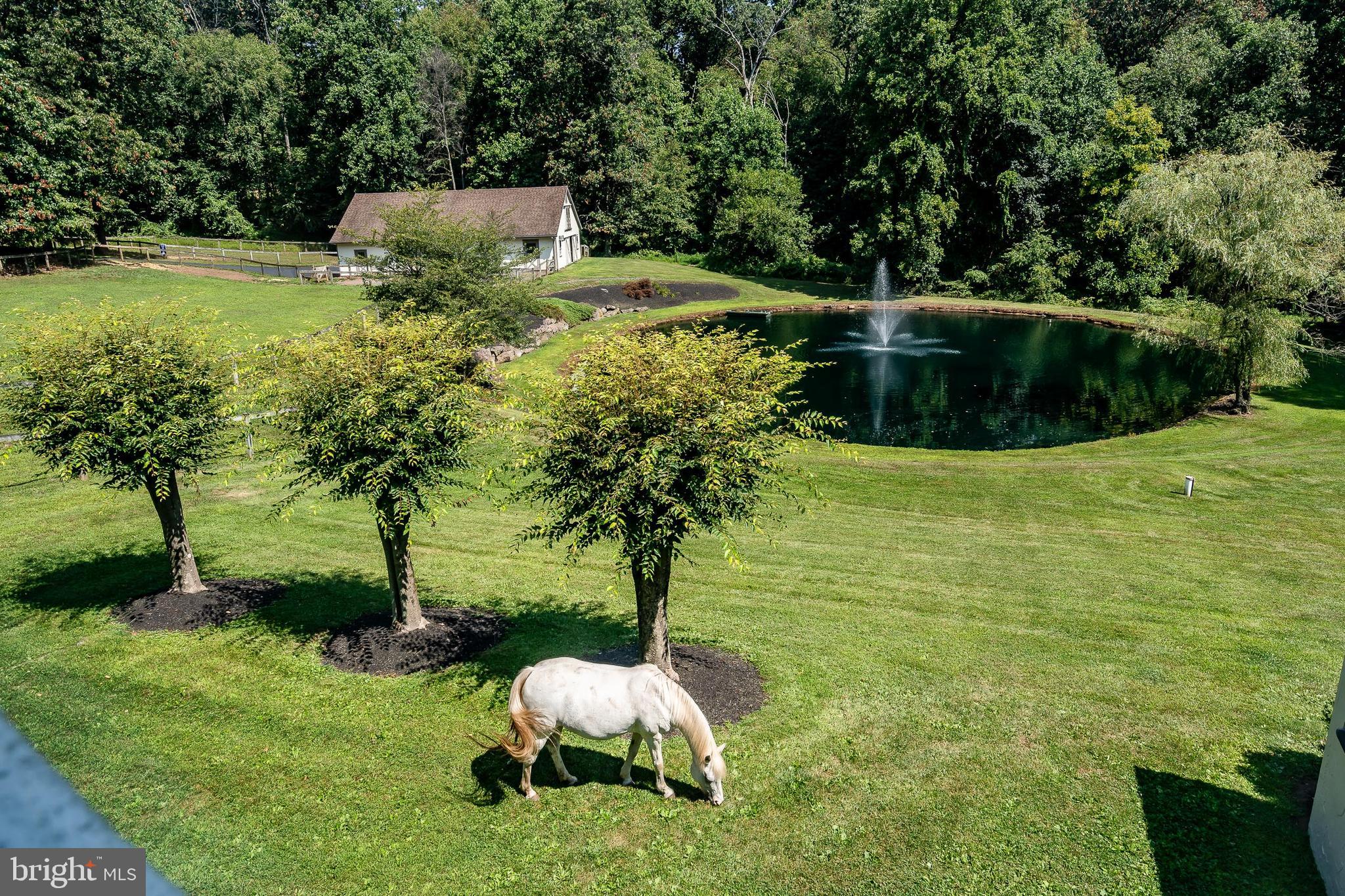 ASHFORD - Residential