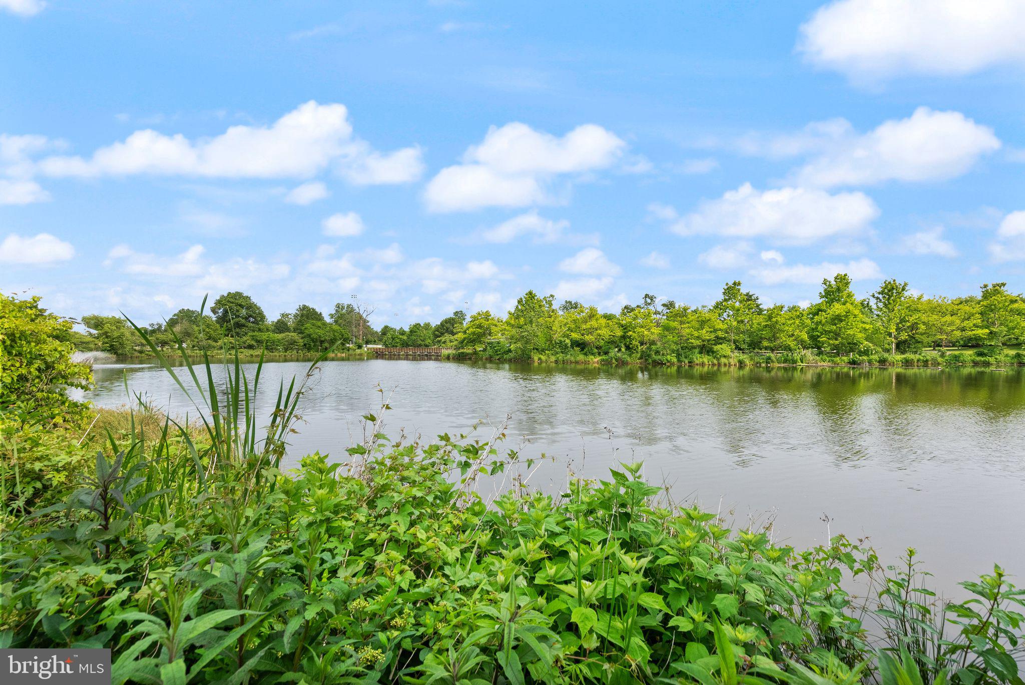 CAMERON STATION - Residential