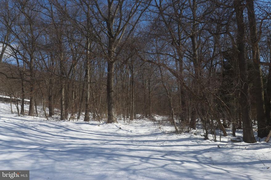 86.5 Acres of Development and Recreational Land in Schuylkill County.  Direct Access to route 61 in between Frackville and Ashland. Close proximity to public water, sewer & power.  Directly bordering Famous Reading Outdoors park.  Across the street from North Schuylkill schools & Ashland Gun & Country Club.  Approximately 20 acres of flat / gently sloping land to build.   Enjoy an off road paradise or build your dream home.  Great development potential.  More info available, call for details!