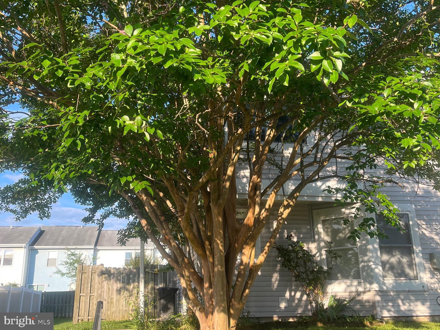 VILLAGE OF PAWNEE - Residential