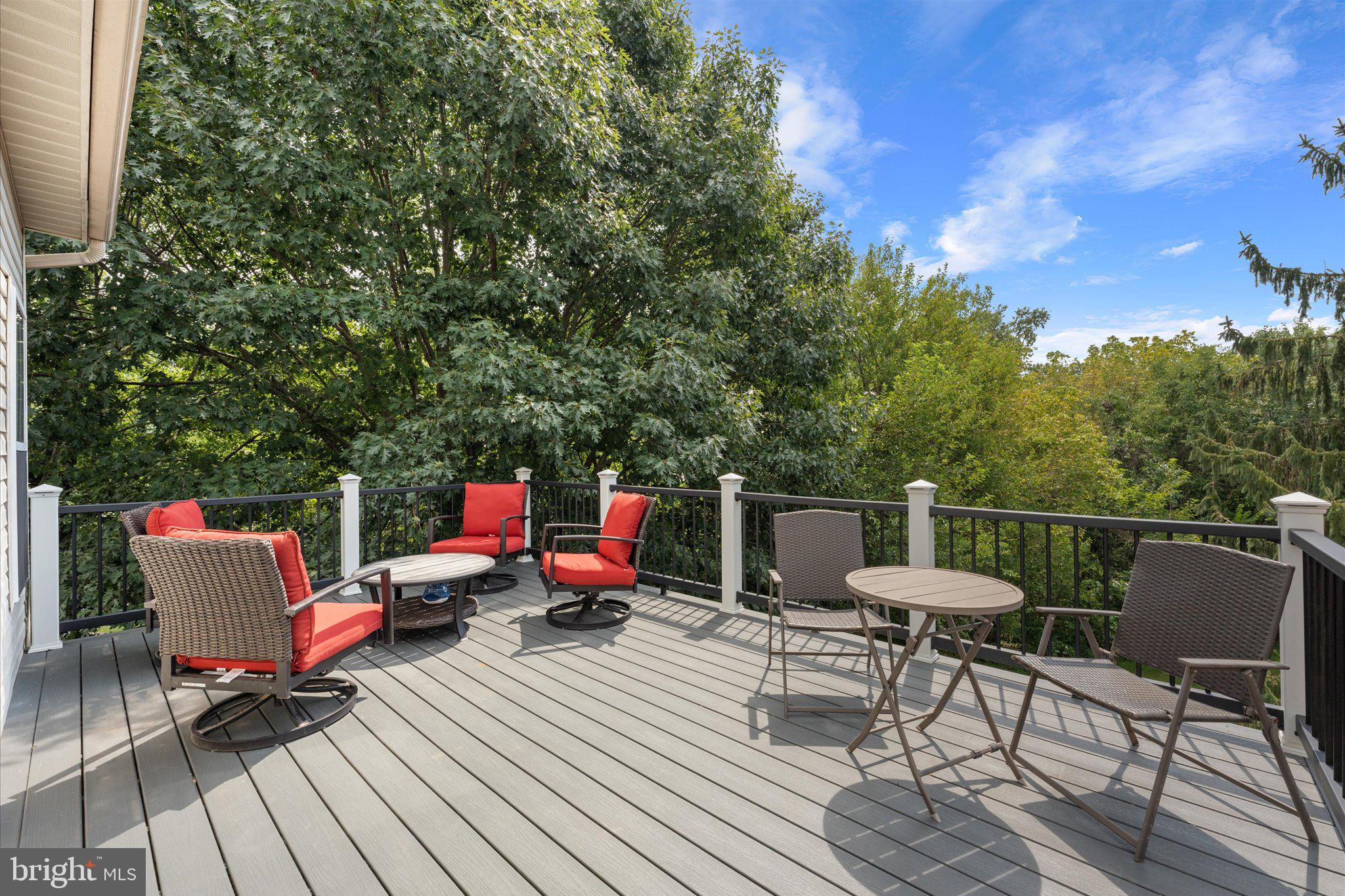 43297 CHOKEBERRY SQUARE