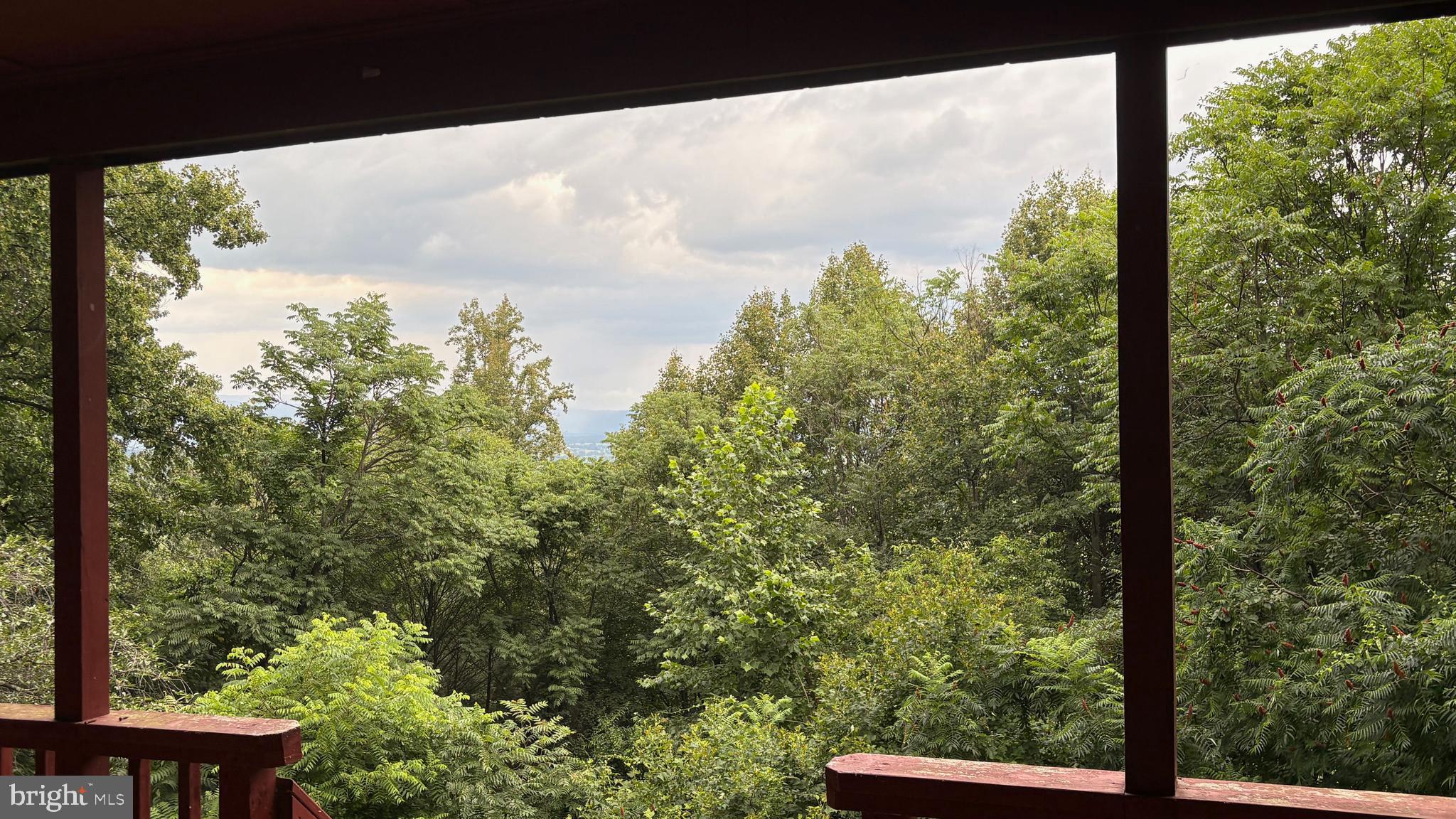 BLUE RIDGE PINES - Residential