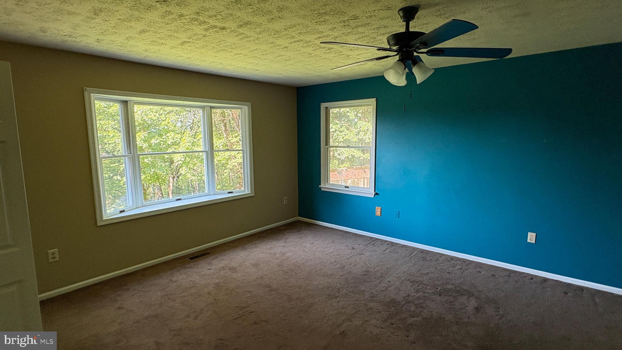 BLUE RIDGE PINES - Residential