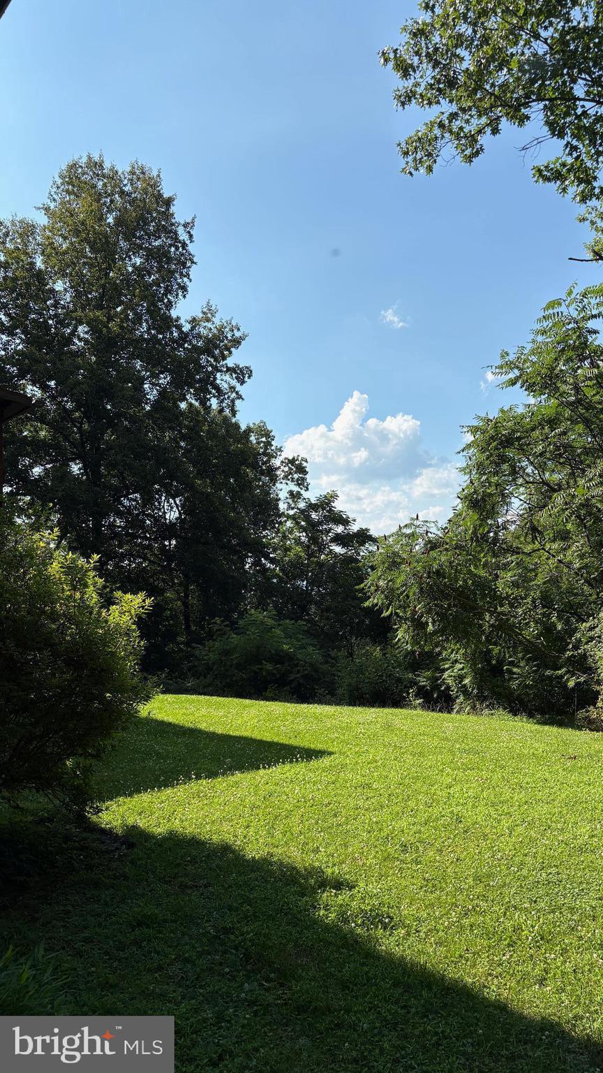 BLUE RIDGE PINES - Residential