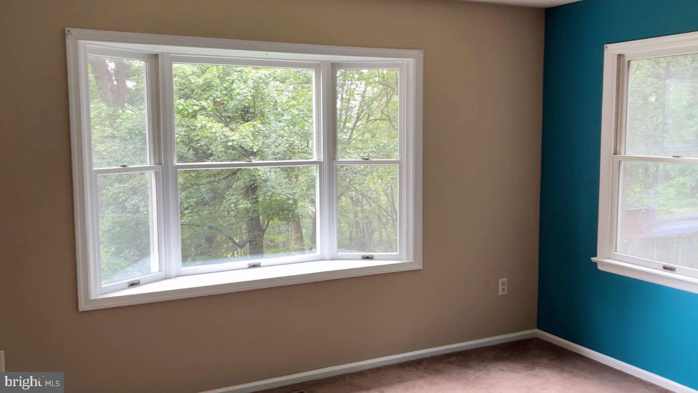 BLUE RIDGE PINES - Residential