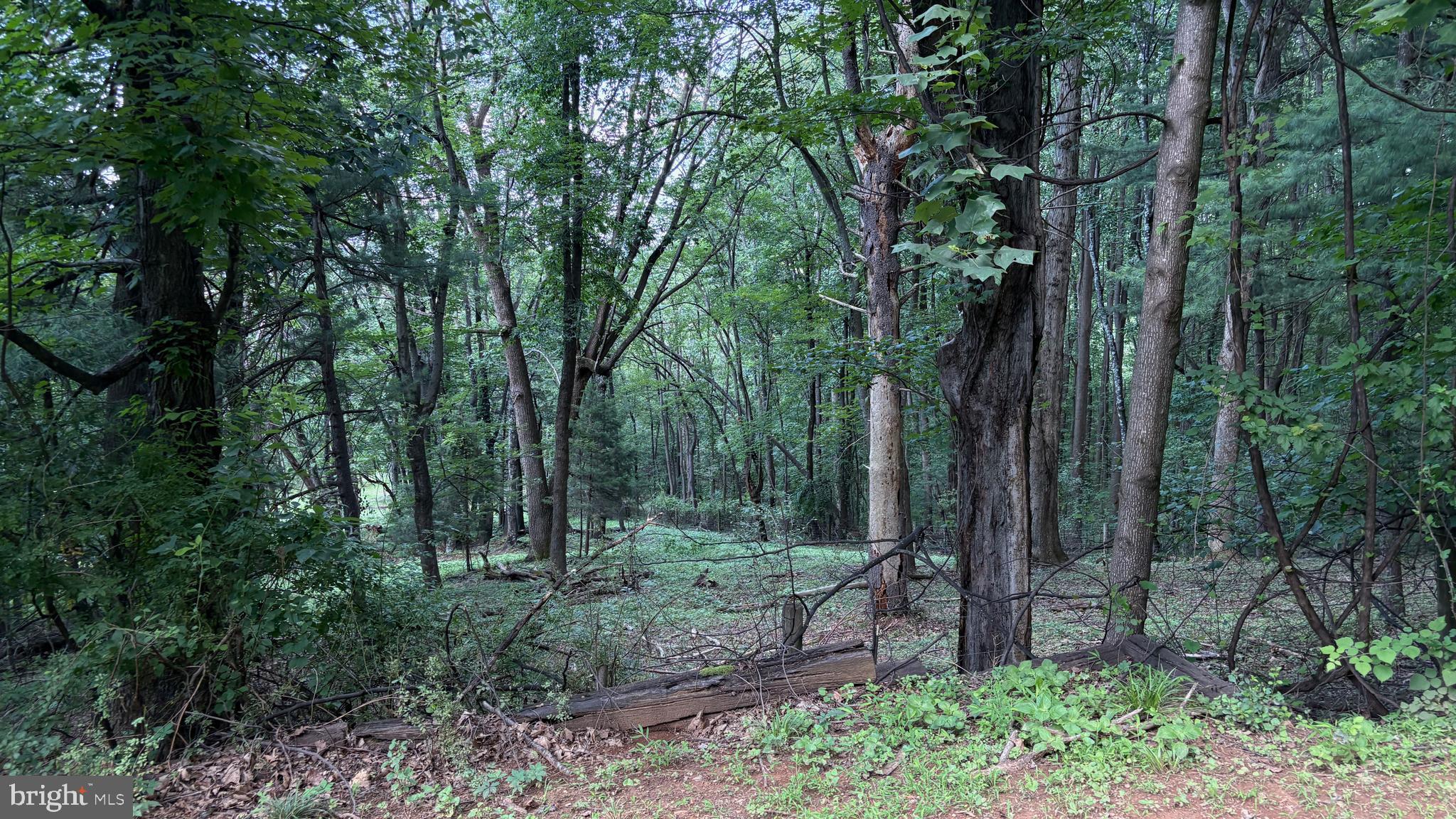 BLUE RIDGE PINES - Residential