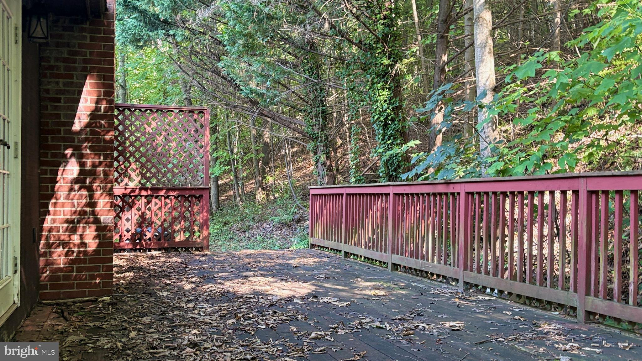 BLUE RIDGE PINES - Residential