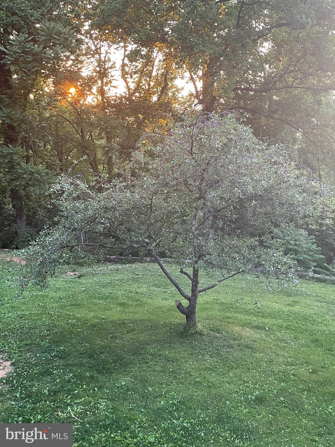 BLUE RIDGE PINES - Residential