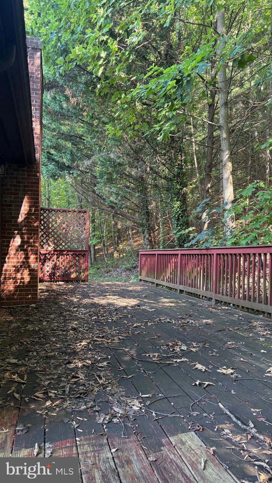 BLUE RIDGE PINES - Residential