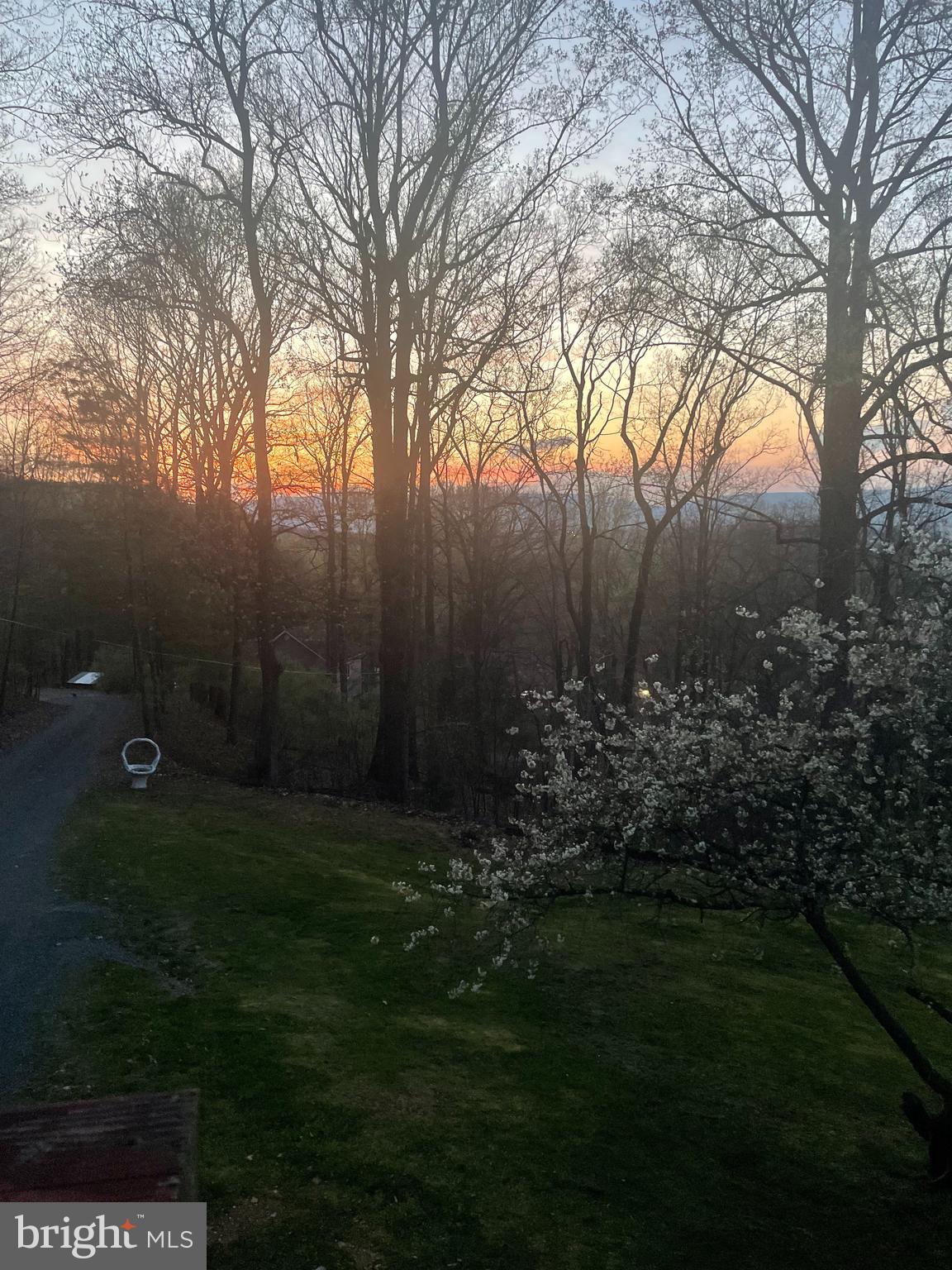 BLUE RIDGE PINES - Residential