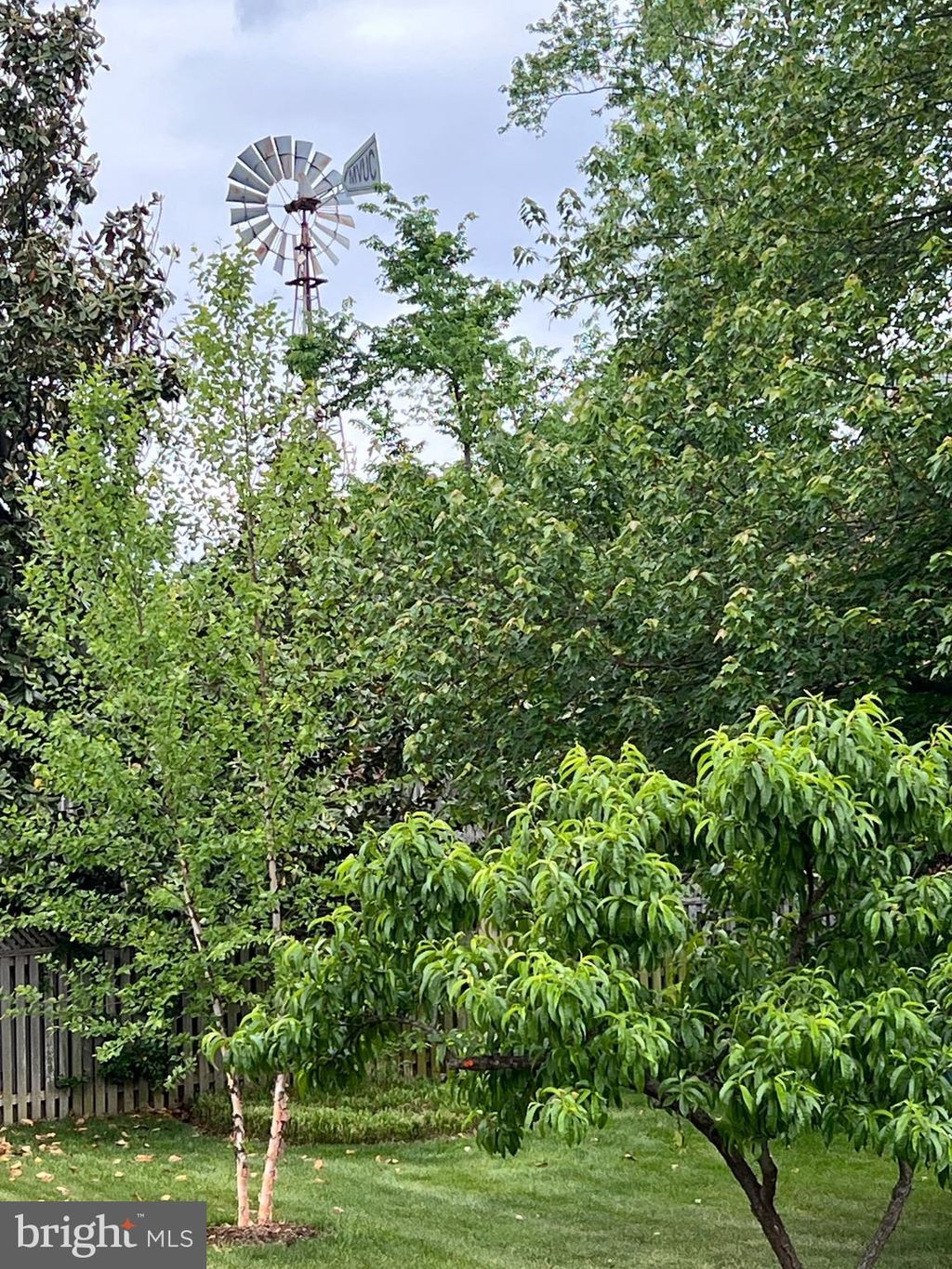 Photo of 1920 Windmill Lane, ALEXANDRIA, VA 22307 (MLS # VAFX2306214)