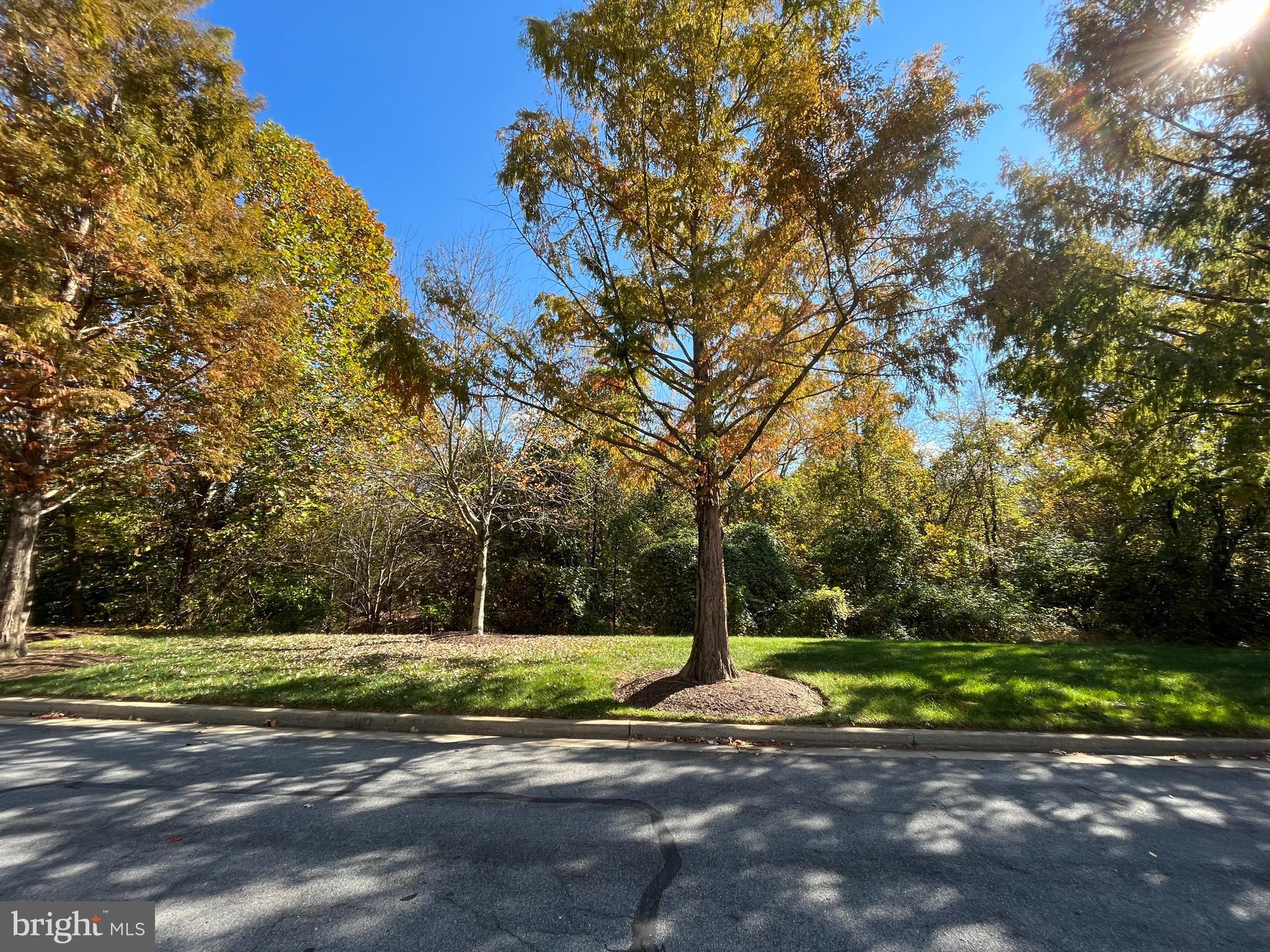 KING FARM - Residential