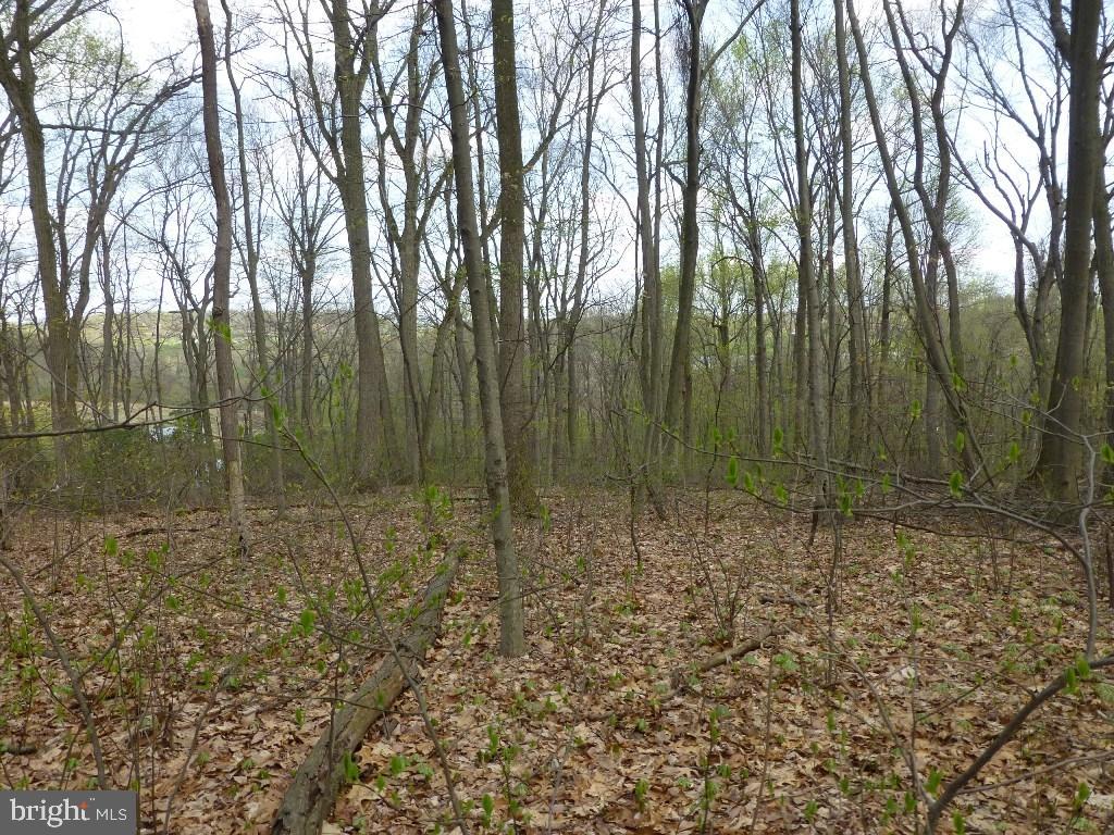 NONE AVAILABLE - Land