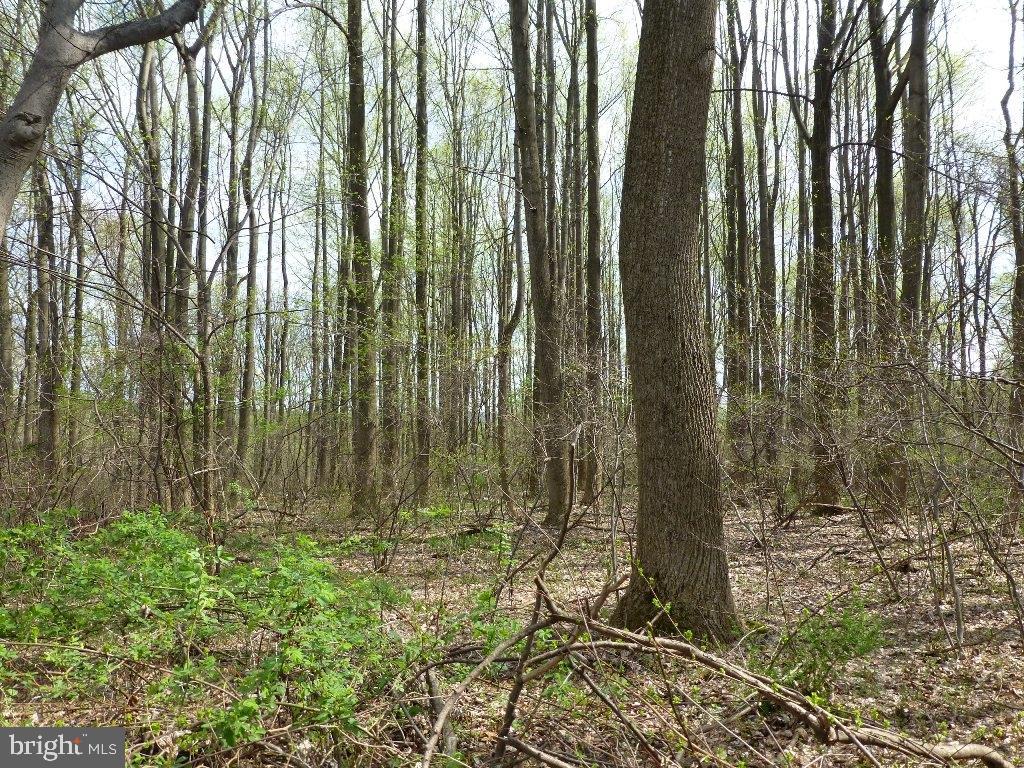 NONE AVAILABLE - Land