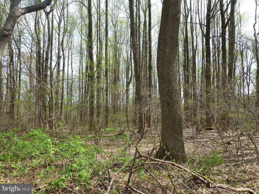 Beautiful wooded homesite within 1.5 of a 28 mile rail trail and 2.5 miles from marina, (see map under documents). Any builder welcome. Lot is sloped at front - more level to rear. Possible sub-division. Contact Township.