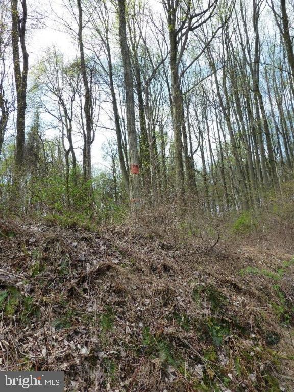 NONE AVAILABLE - Land