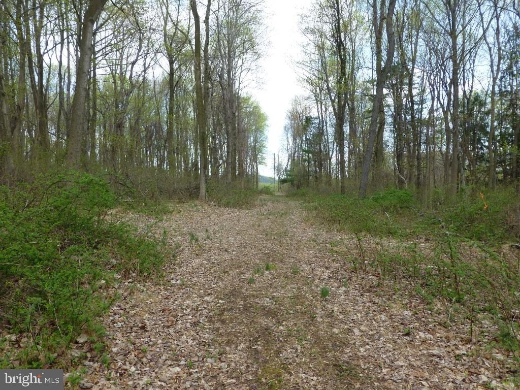 NONE AVAILABLE - Land