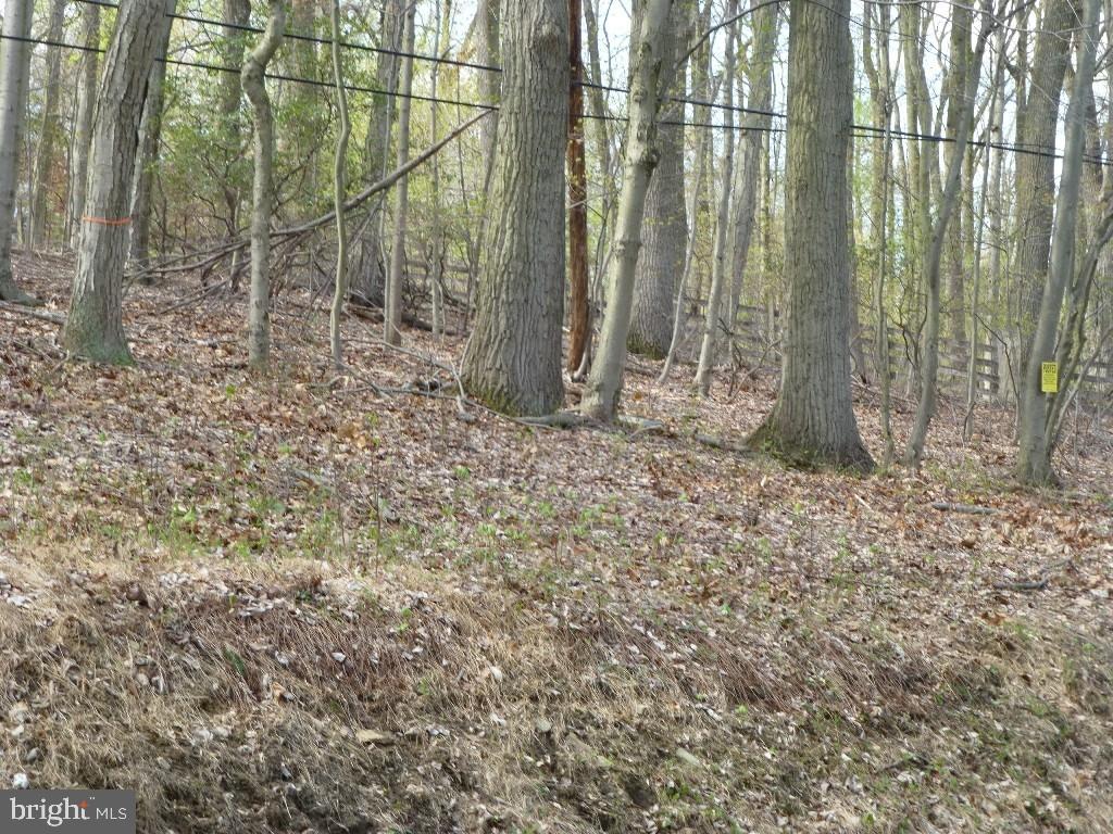 NONE AVAILABLE - Land