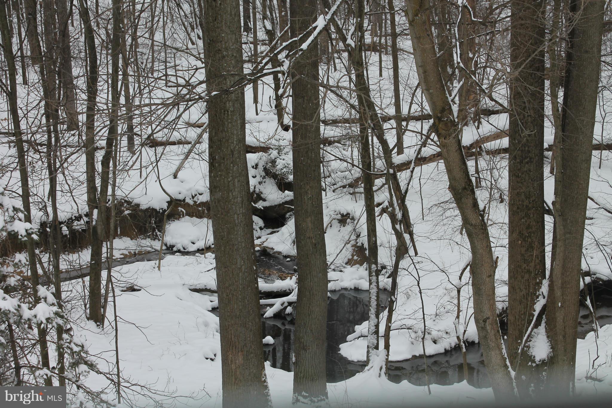 TANGLEWOOD - Residential