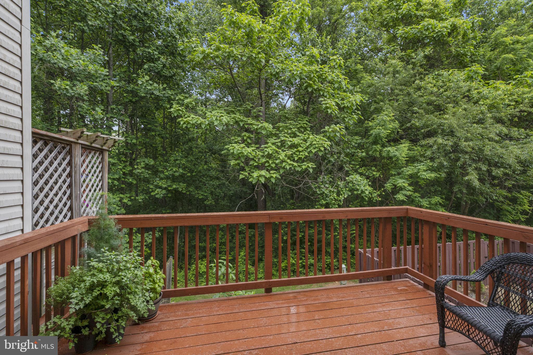 FOUNTAIN HILLS - Residential