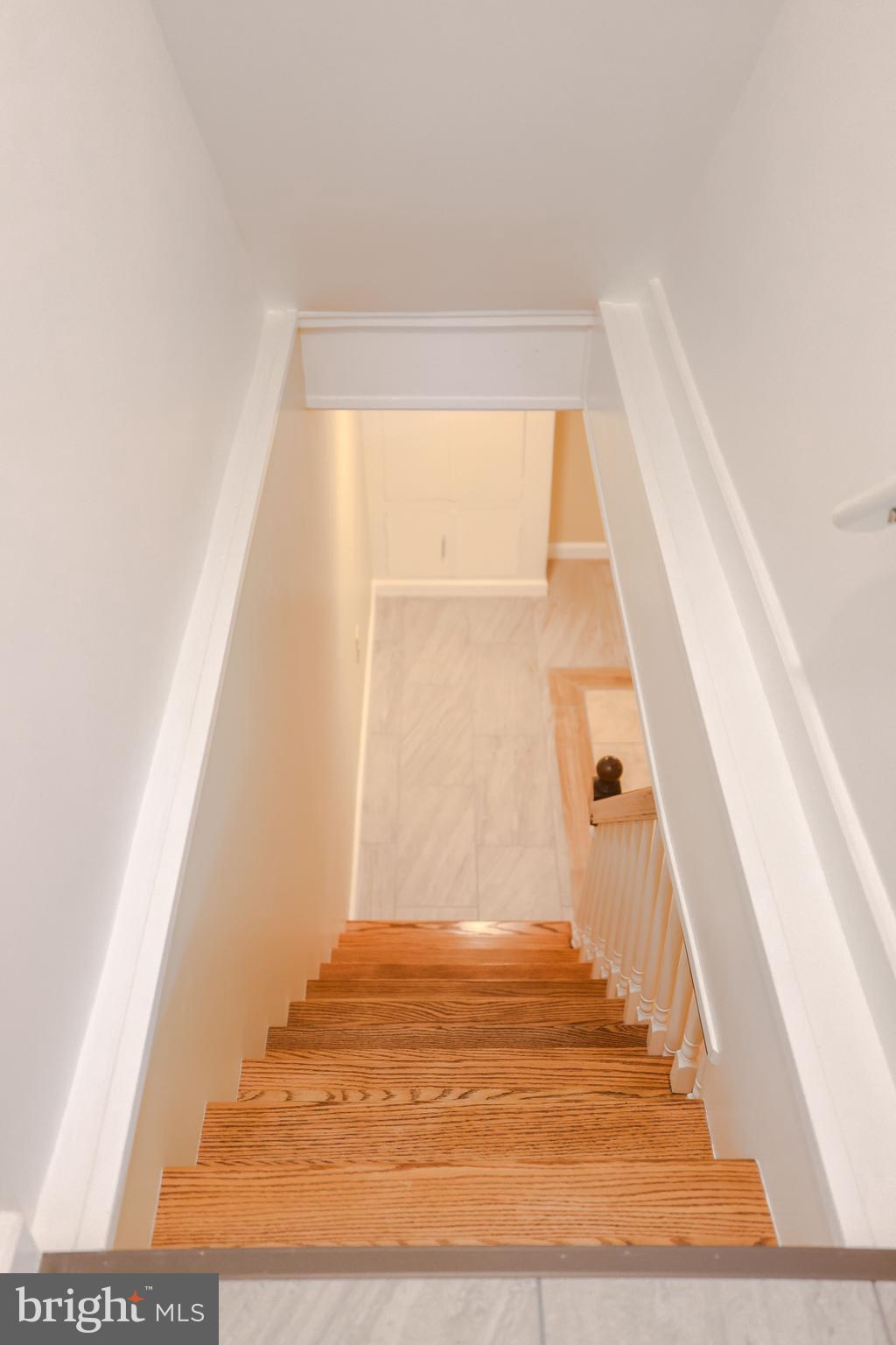 OXFORD CIRCLE - Residential