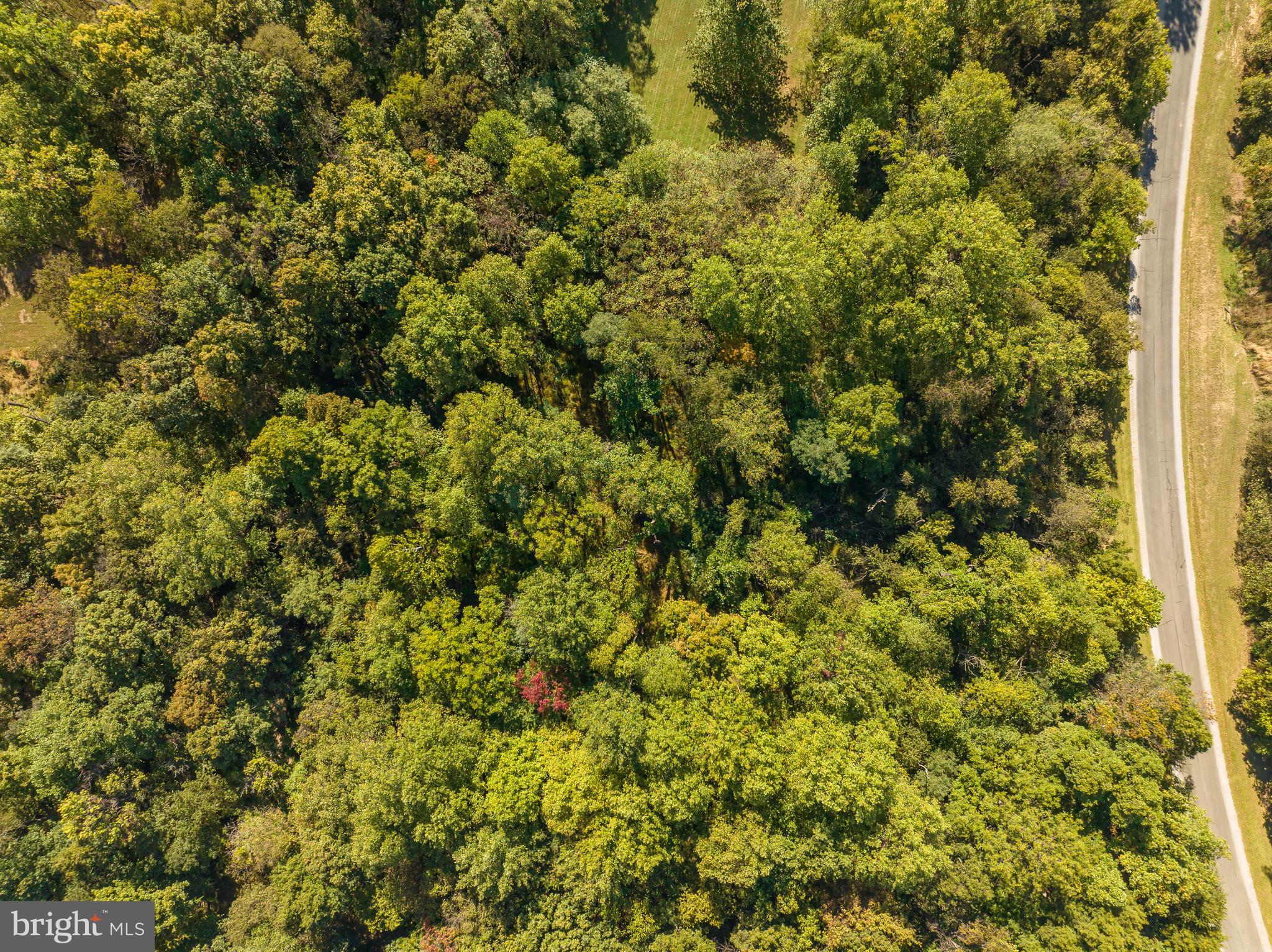 CROSSINGS ON THE POTOMAC - Land