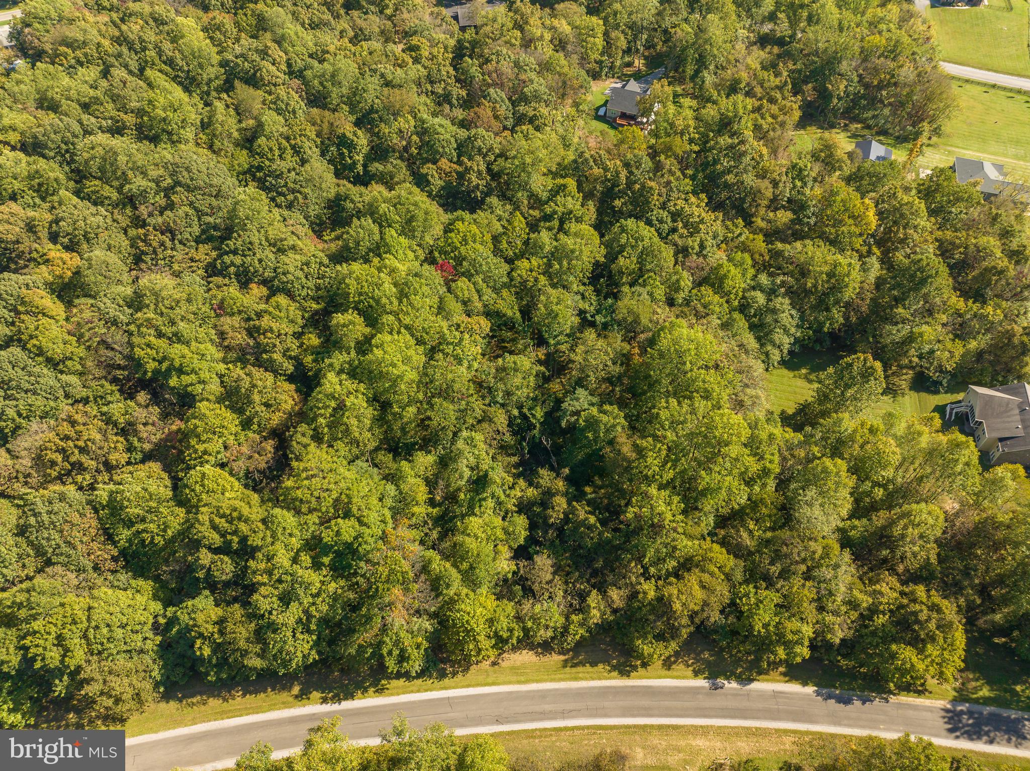 CROSSINGS ON THE POTOMAC - Land
