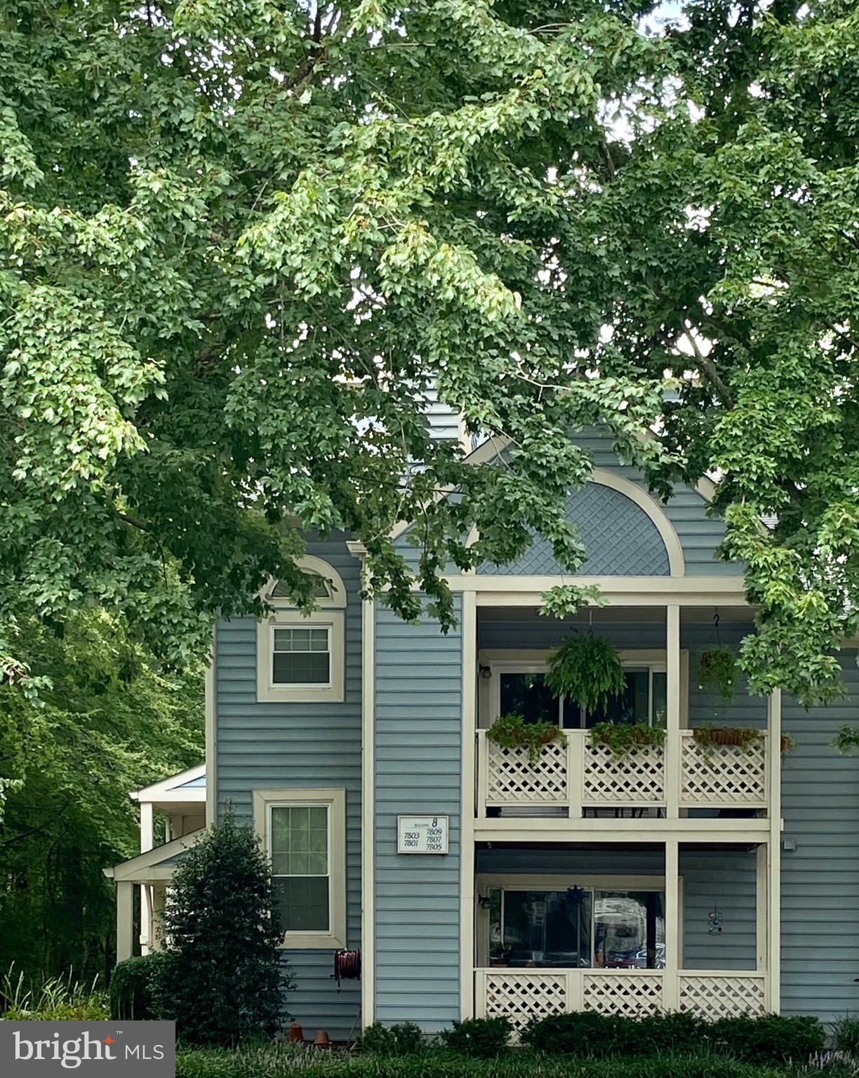 WILLOW POINT - Residential Lease