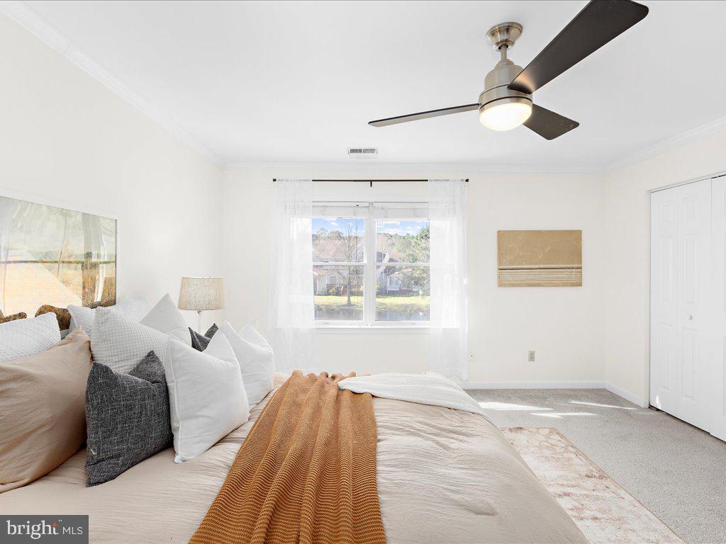 BRIDGE POINTE - Residential