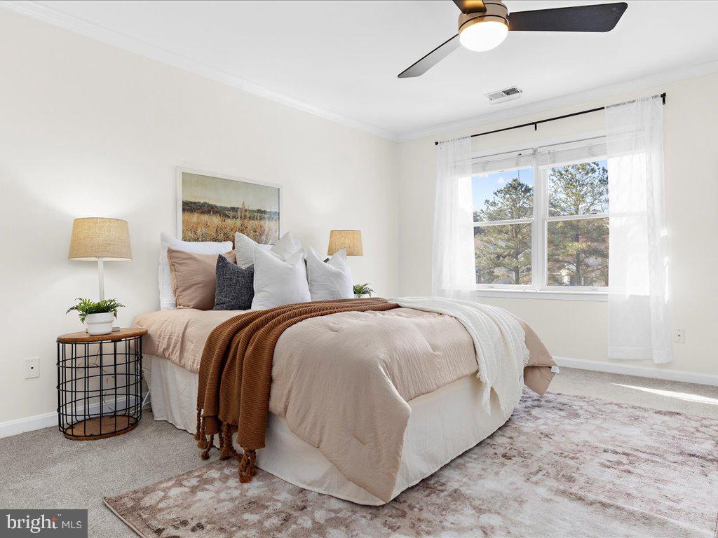 BRIDGE POINTE - Residential