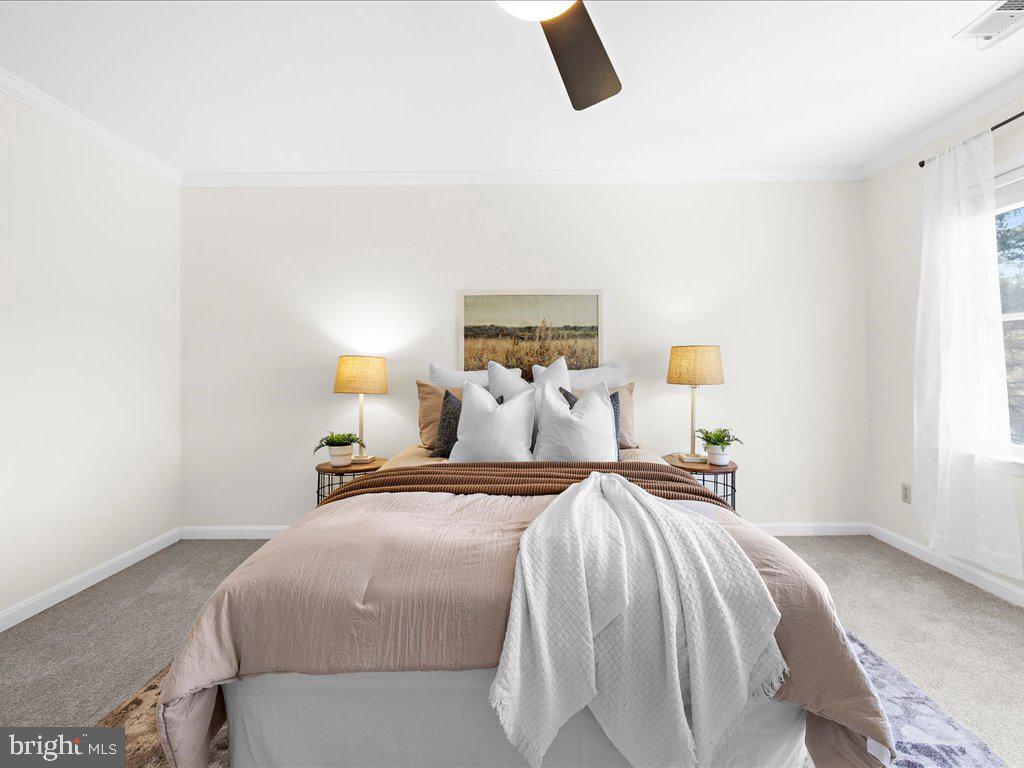 BRIDGE POINTE - Residential