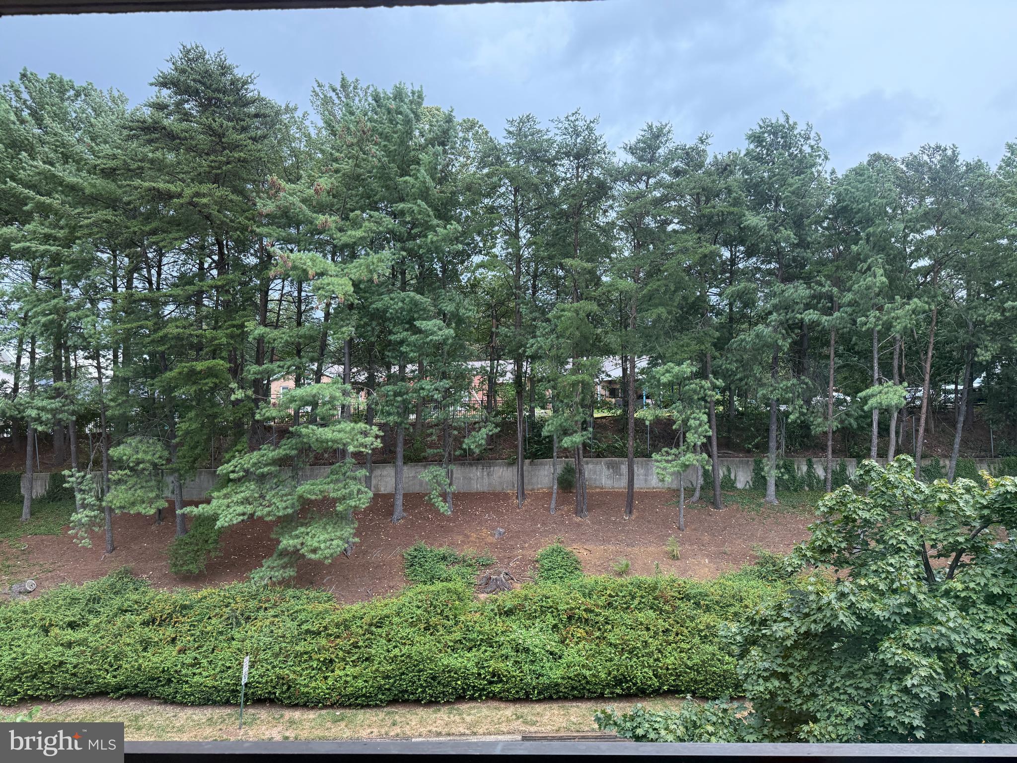 THE PLAZA - Residential Lease