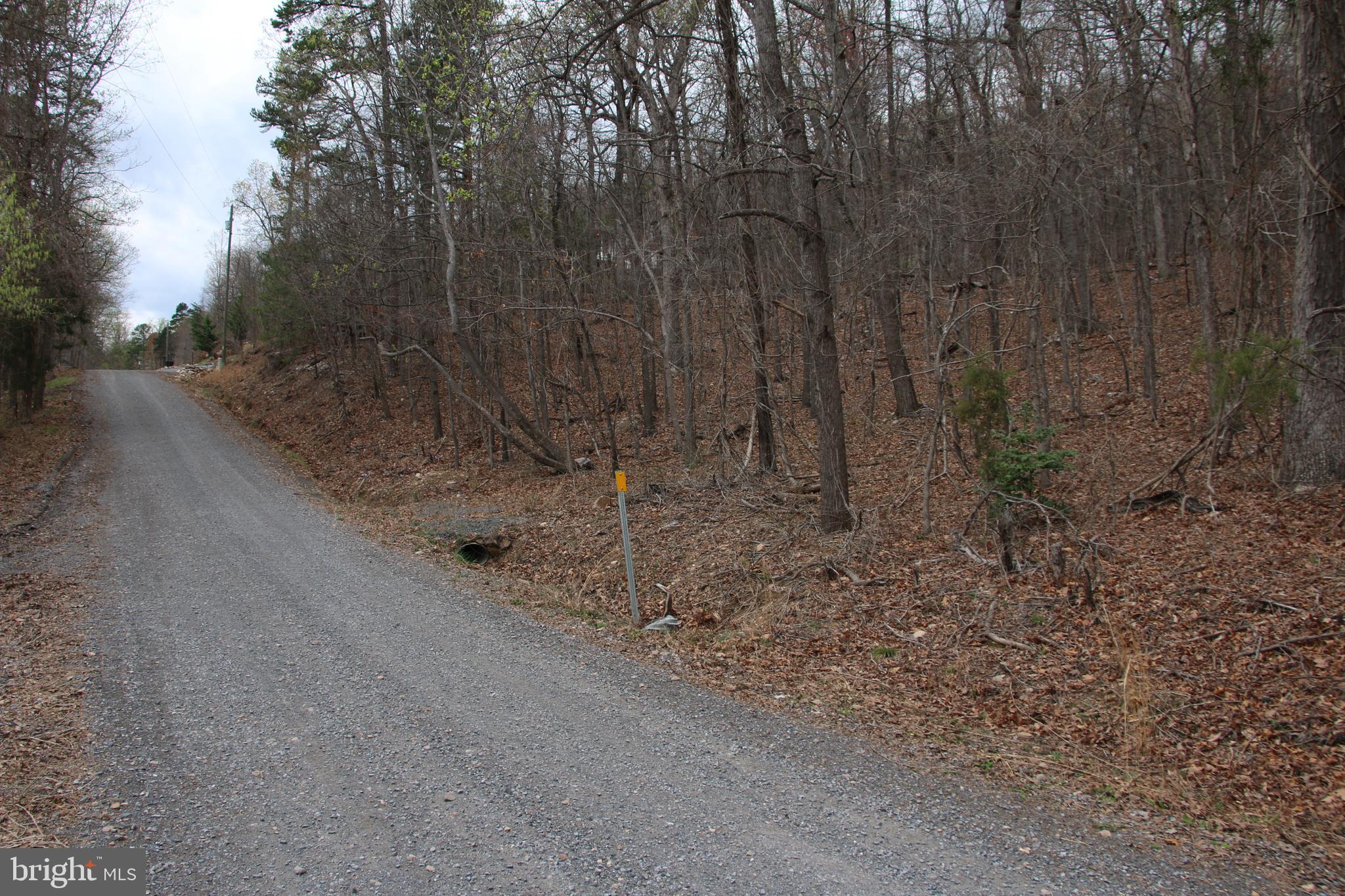 SHEN FARMS CAMELS BACK - Land