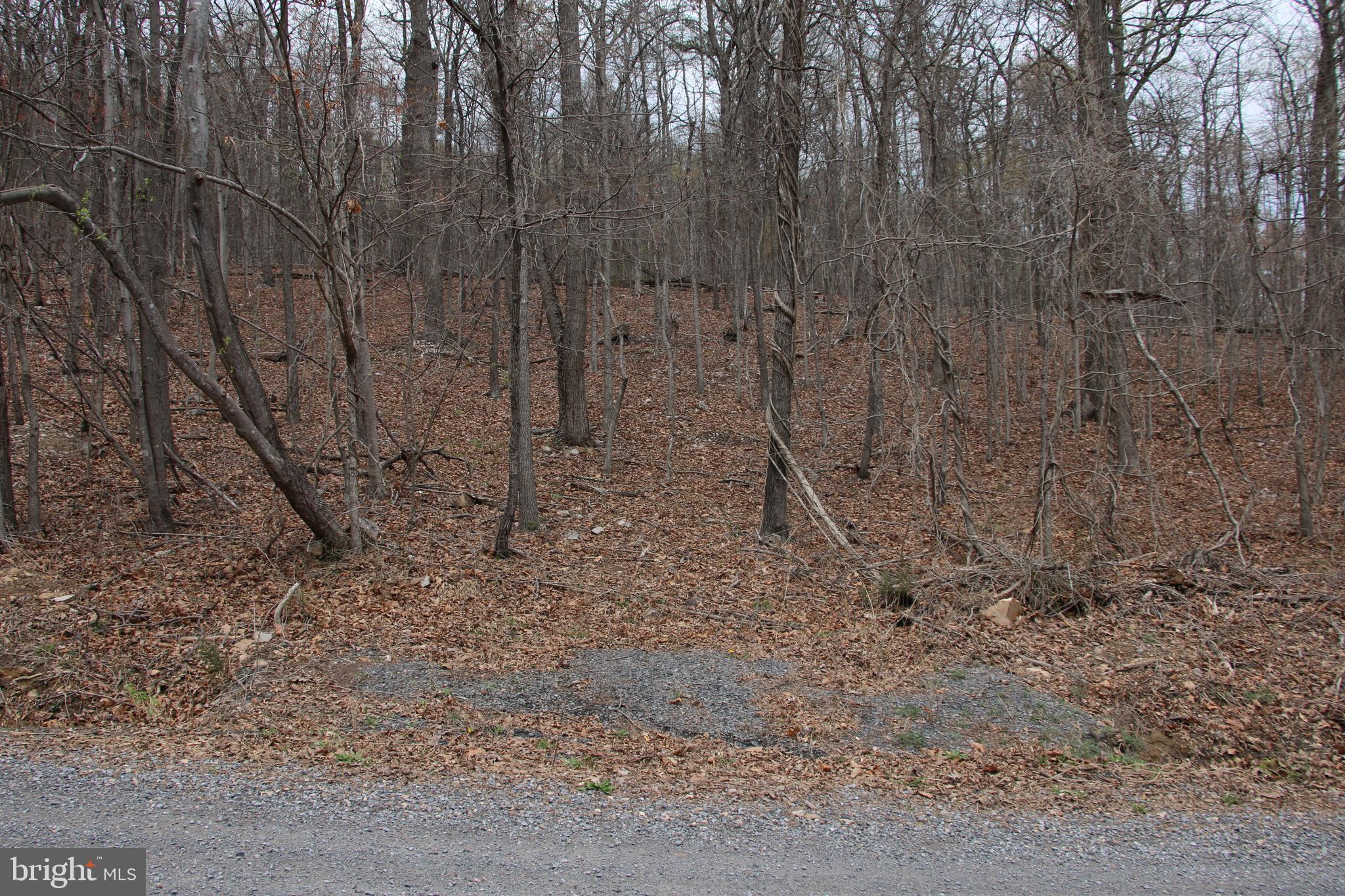 SHEN FARMS CAMELS BACK - Land