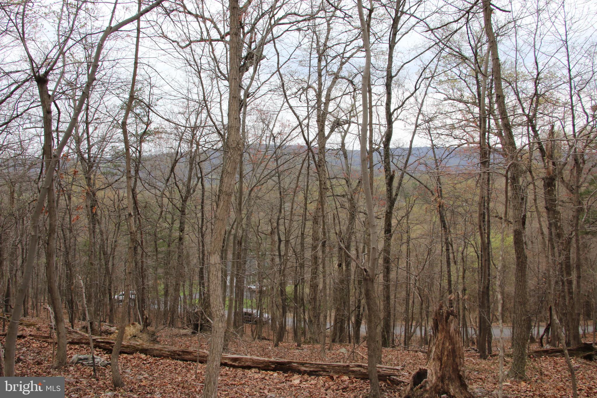 SHEN FARMS CAMELS BACK - Land