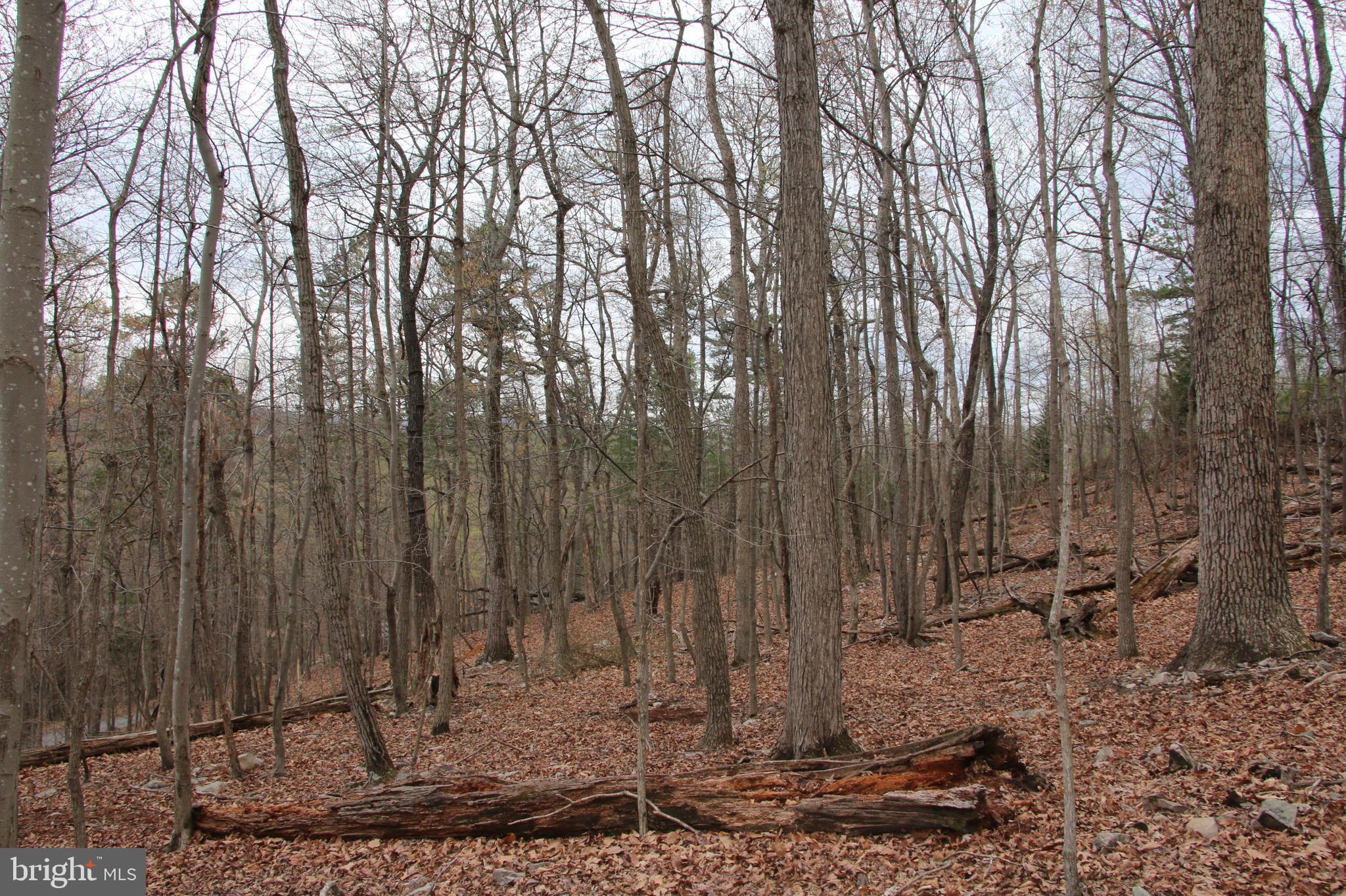 SHEN FARMS CAMELS BACK - Land