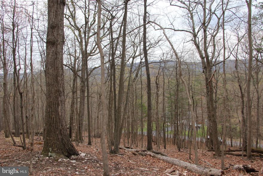 Located just outside Front Royal in the Shenandoah Farms community lies this excellent building lot. Access is secured via road frontage on well maintained Old Oregon Road. Lovely mountain views will be seen year round once the lot is cleared. The topography is builder friendly and utilities are running along Old Oregon Road making for affordable connections. Commuters will love this location with quick access to US-50 and US-66. The Shenandoah River can be accessed nearby along with the thousands of acres of the G.R. Thompson WMA for those outdoor enthusiasts. Don’t miss your opportunity to live here!