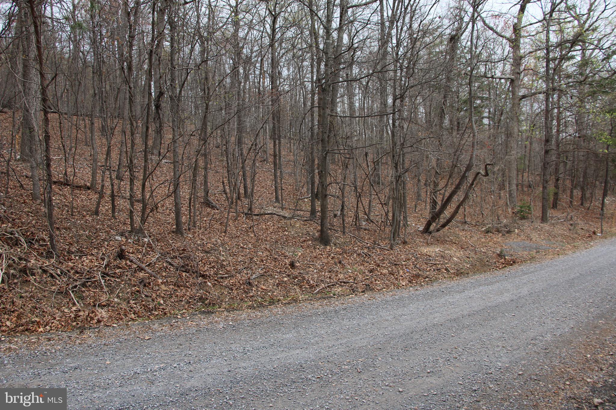 SHEN FARMS CAMELS BACK - Land