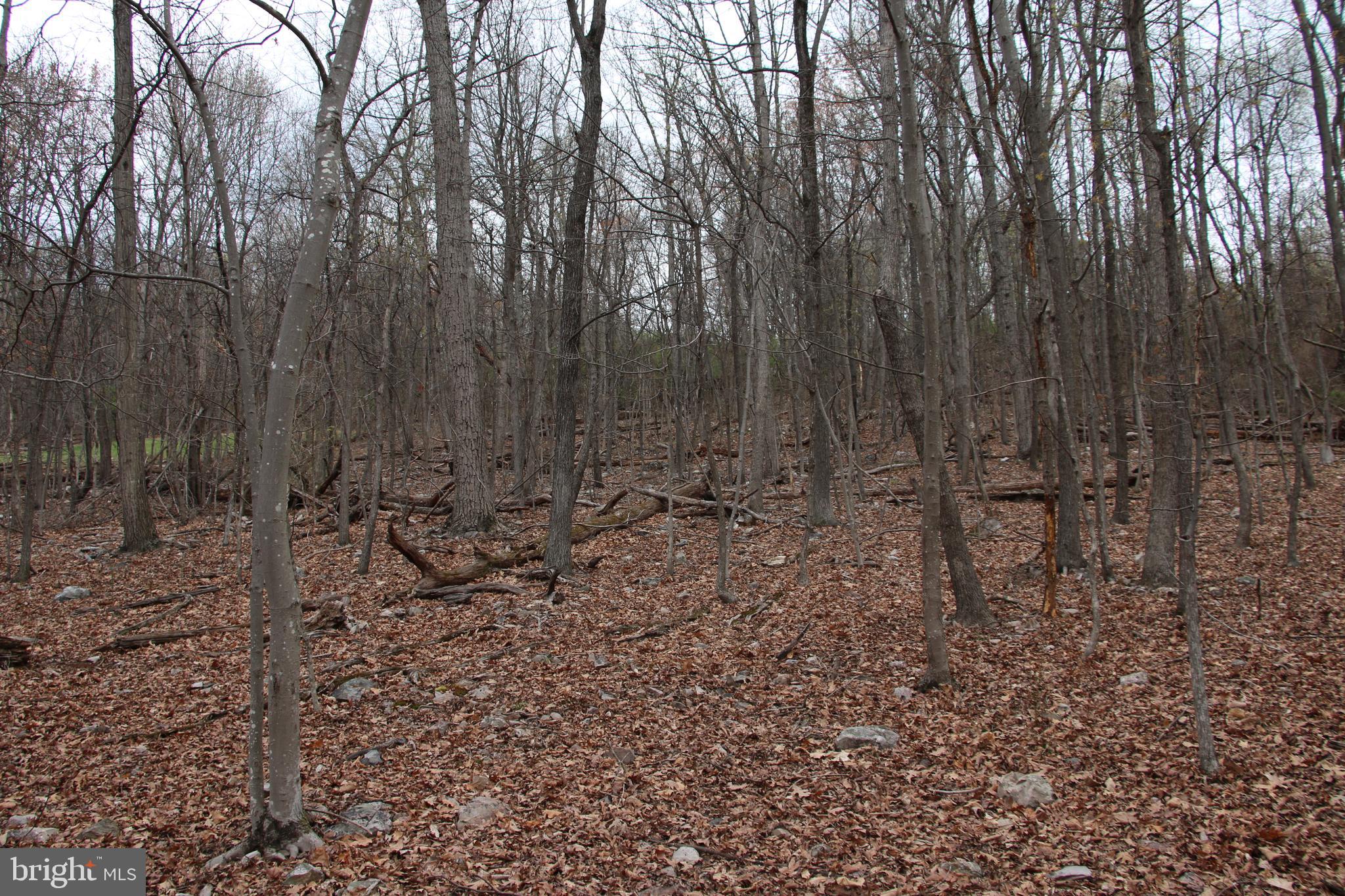 SHEN FARMS CAMELS BACK - Land