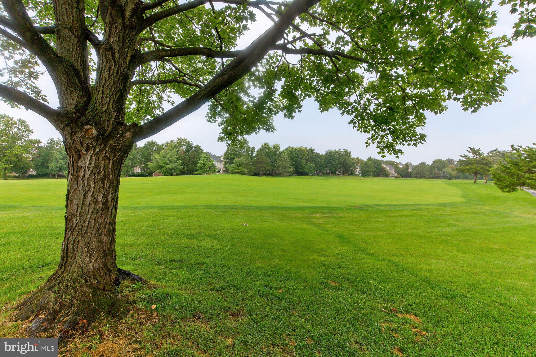 PIEDMONT - Residential