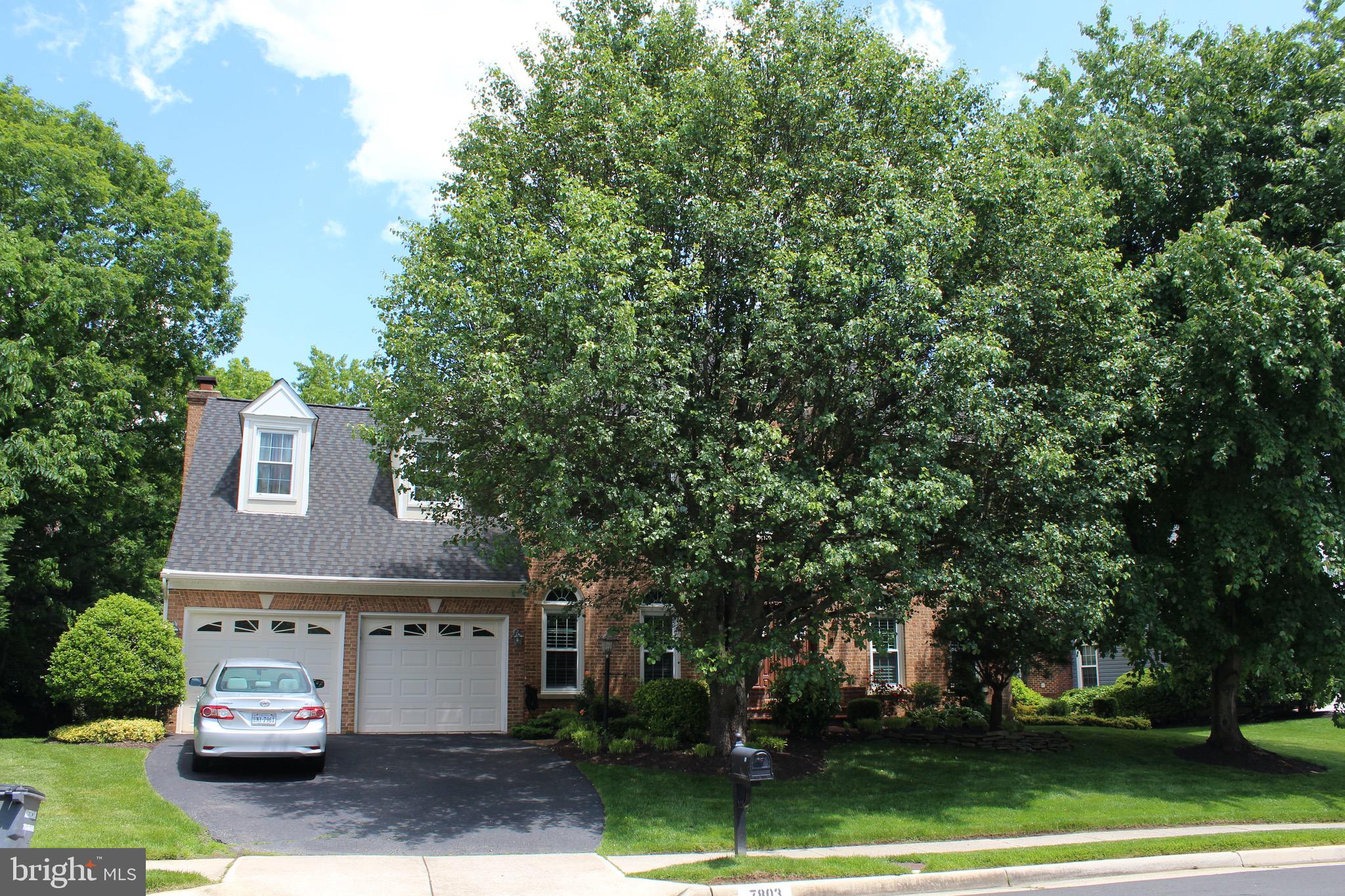 SOUTH RUN - Residential Lease