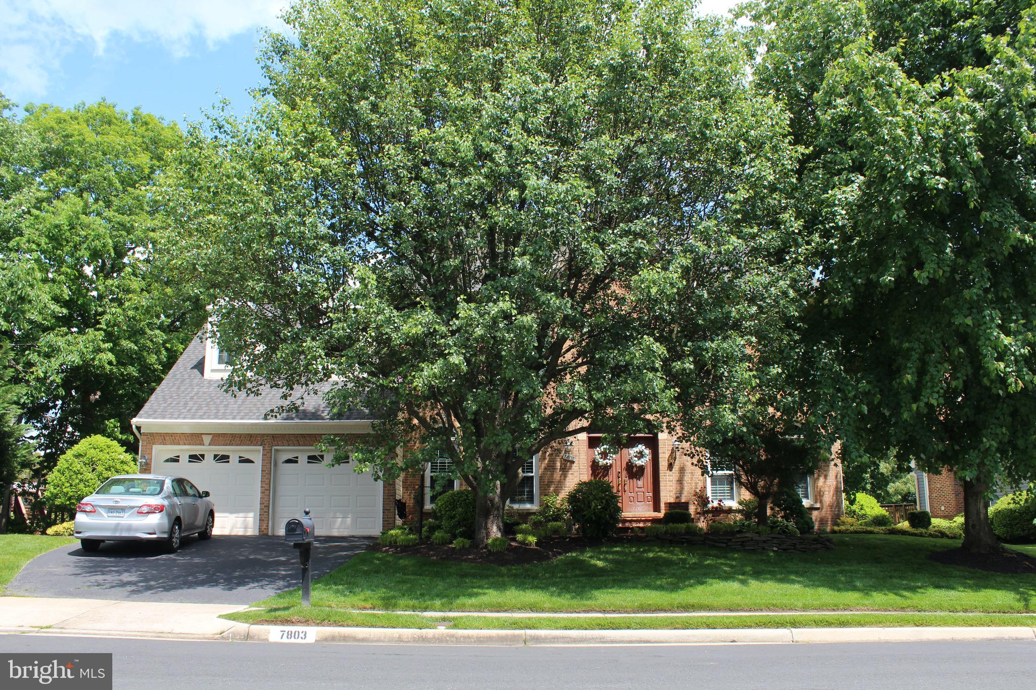 SOUTH RUN - Residential Lease